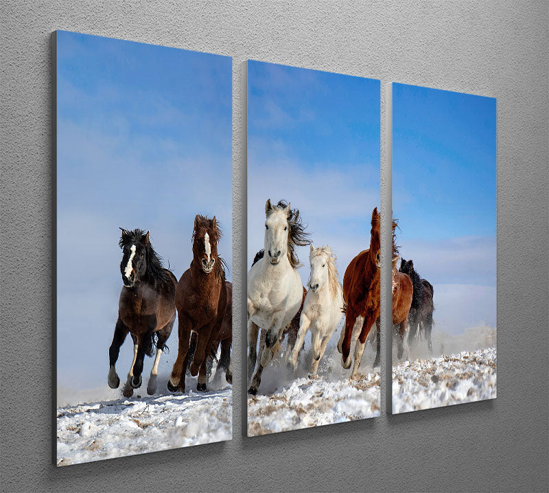Mongolia Horses 3 Split Panel Canvas Print - Canvas Art Rocks - 2