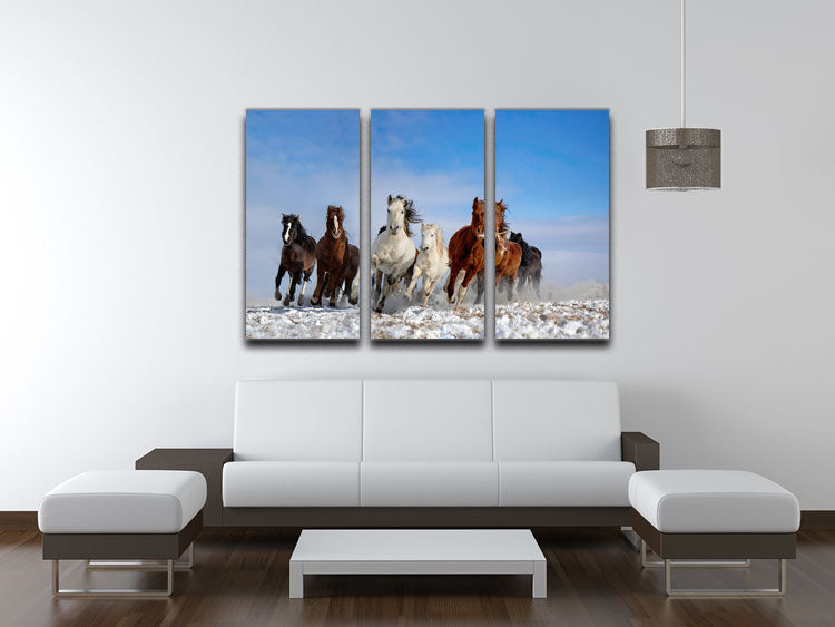 Mongolia Horses 3 Split Panel Canvas Print - Canvas Art Rocks - 3