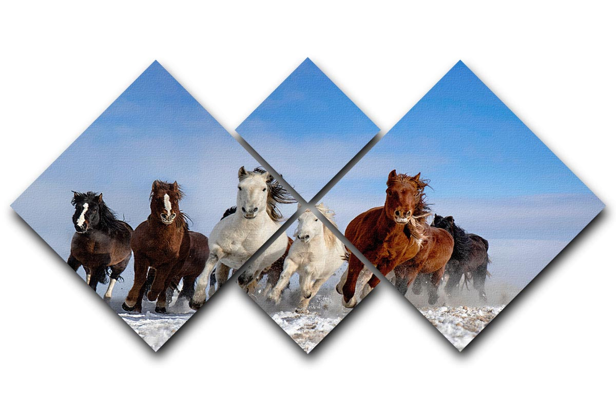Mongolia Horses 4 Square Multi Panel Canvas - Canvas Art Rocks - 1