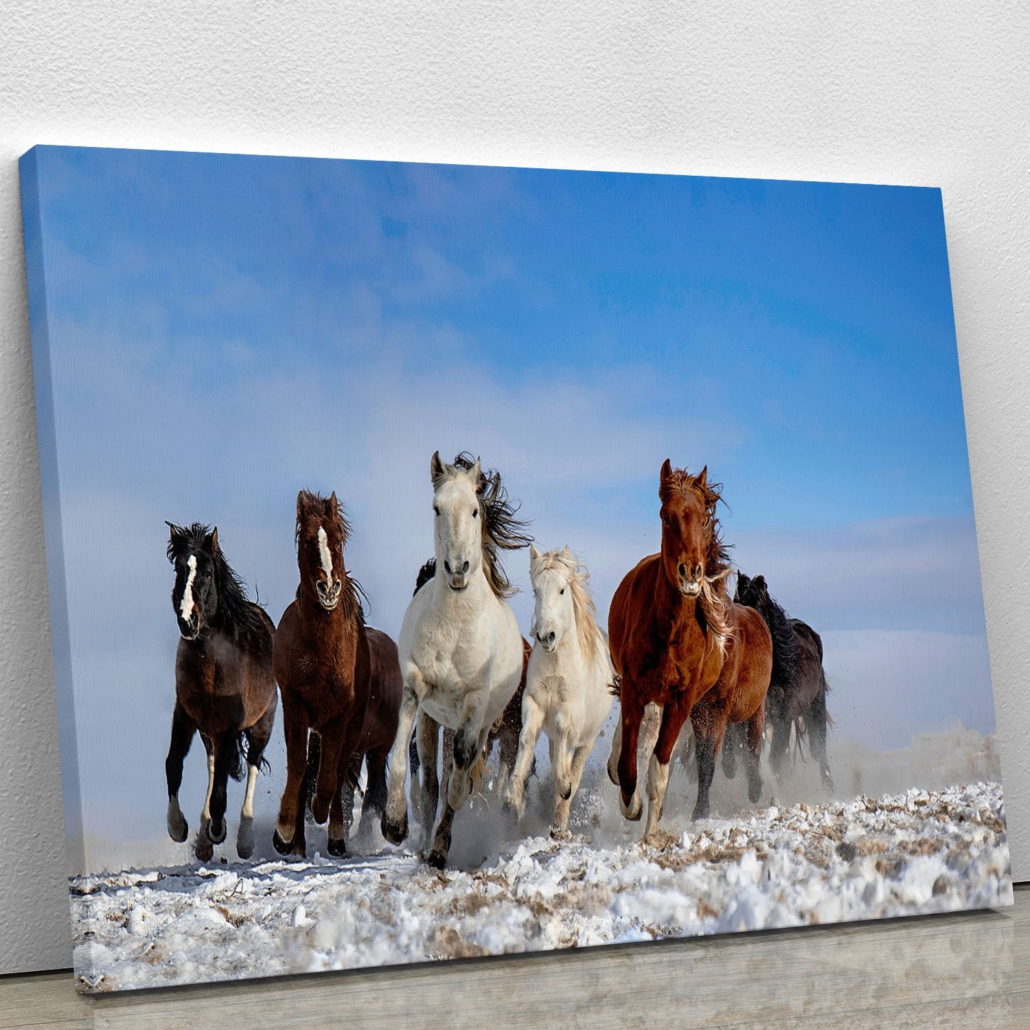 Mongolia Horses Canvas Print or Poster - Canvas Art Rocks - 1