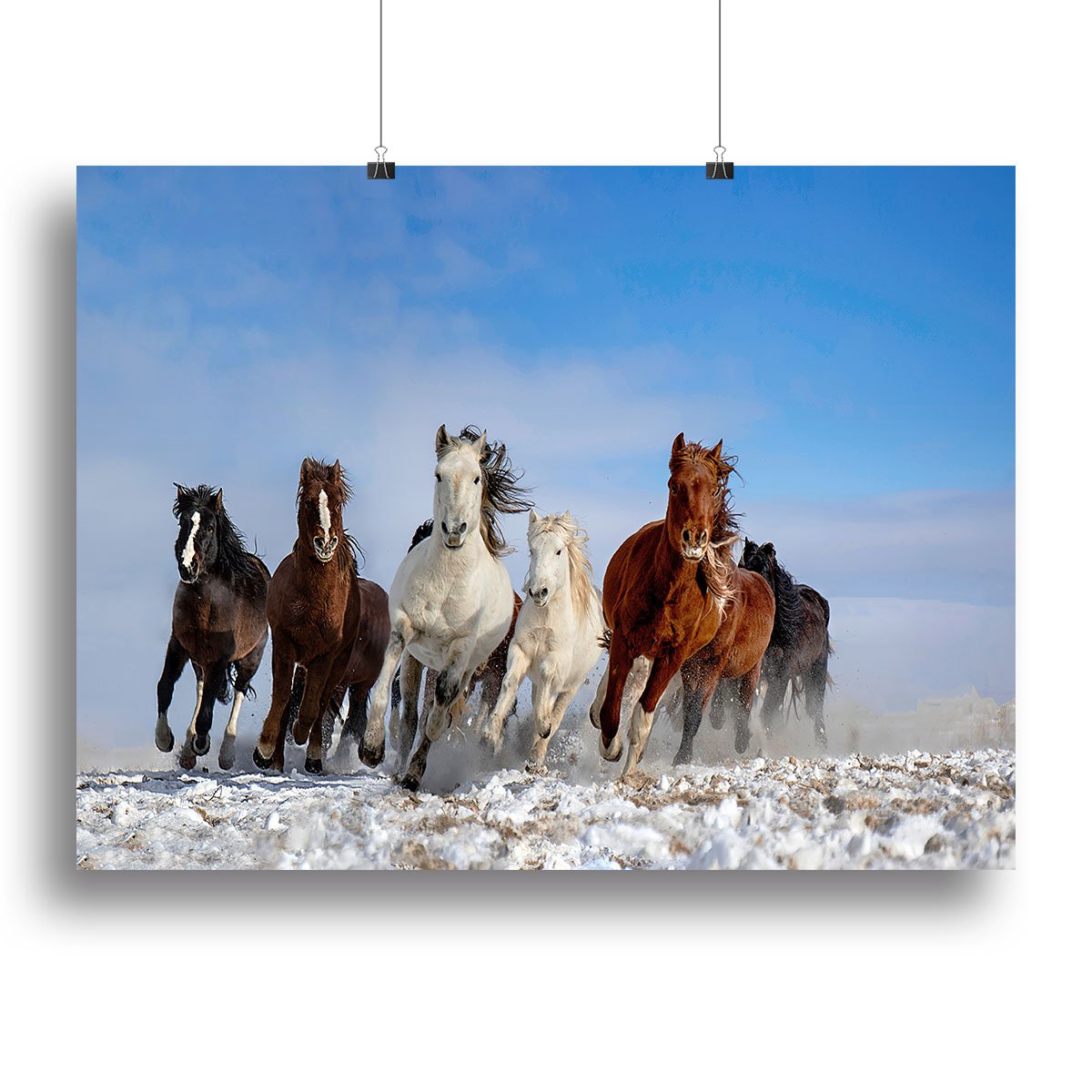 Mongolia Horses Canvas Print or Poster - Canvas Art Rocks - 2