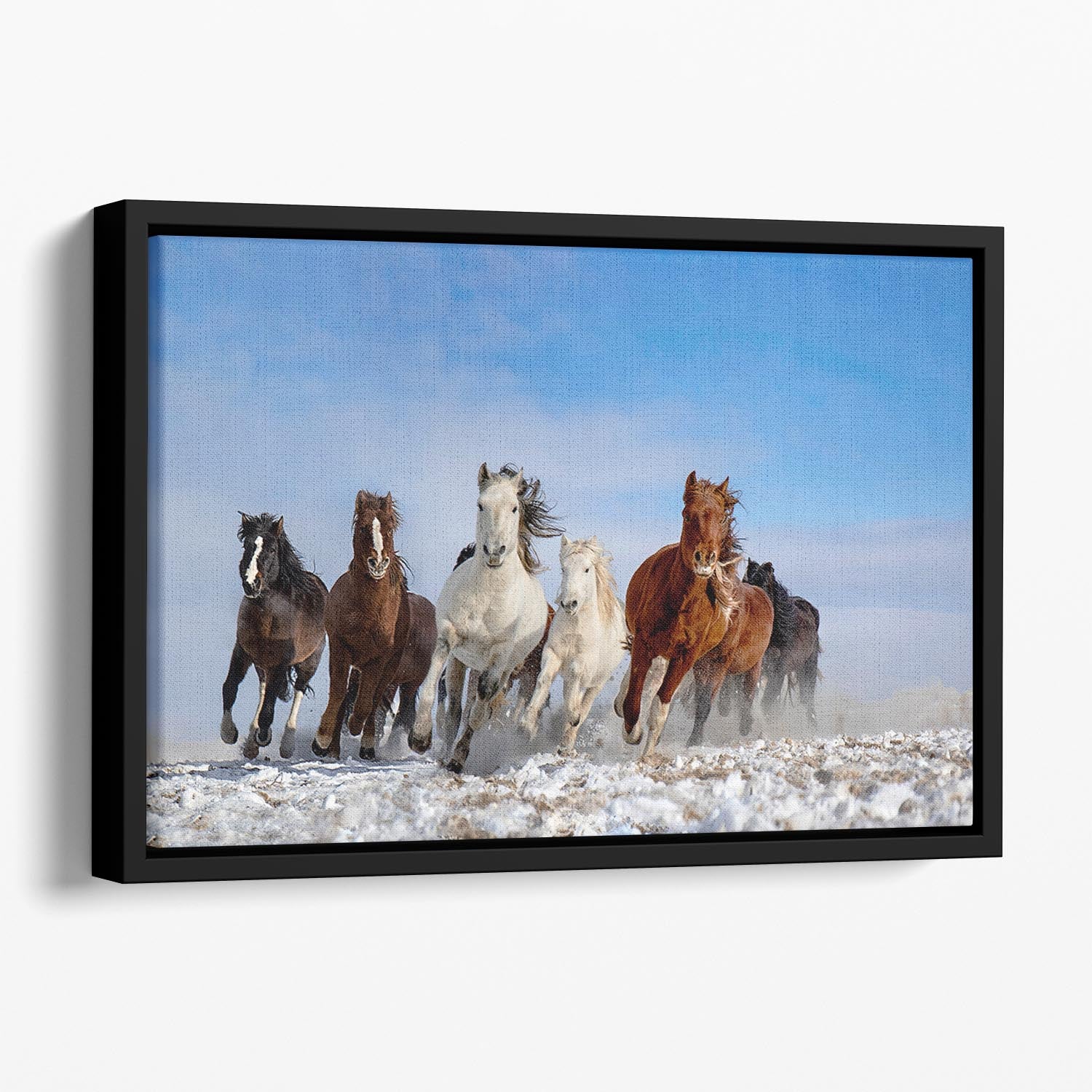 Mongolia Horses Floating Framed Canvas - Canvas Art Rocks - 1