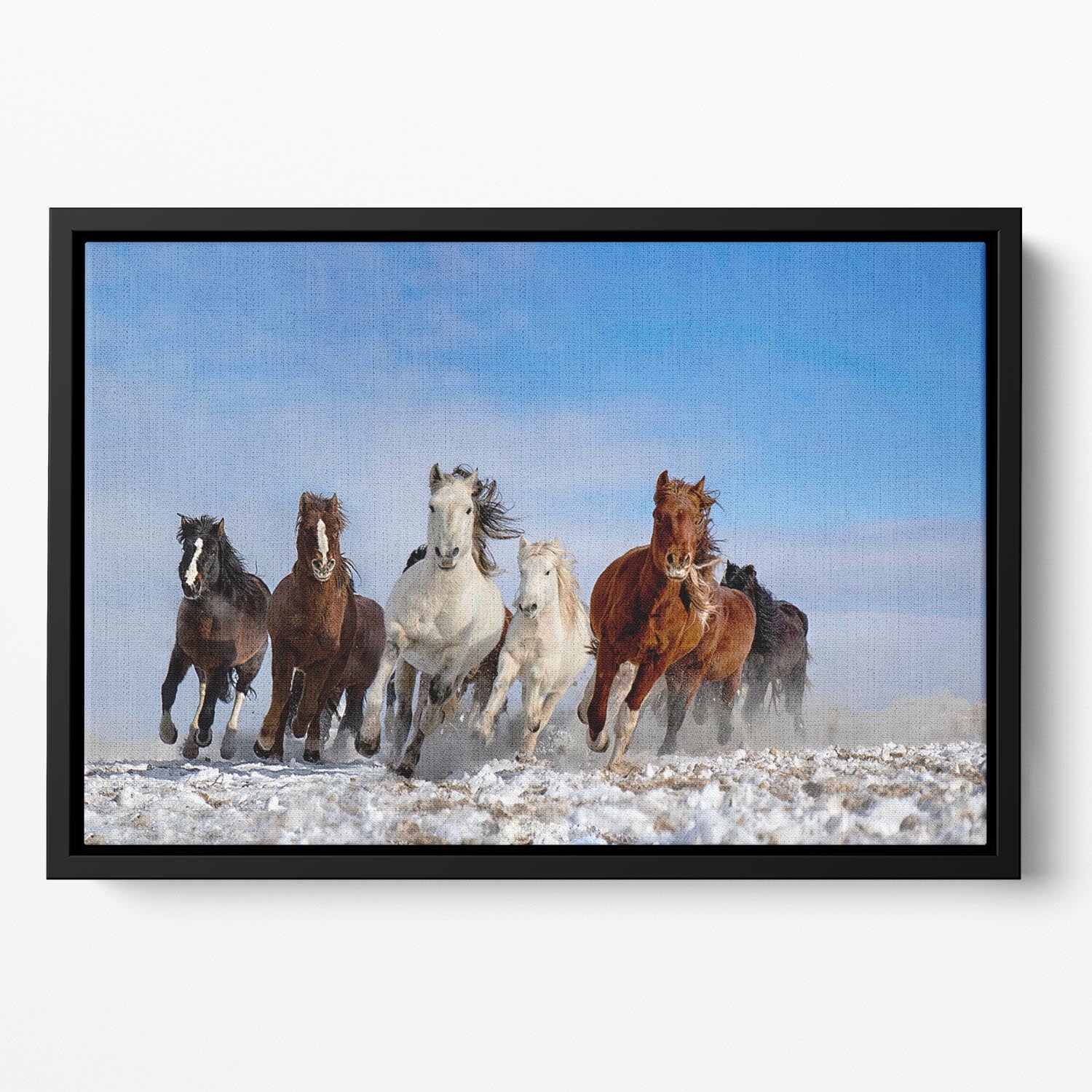 Mongolia Horses Floating Framed Canvas - Canvas Art Rocks - 2
