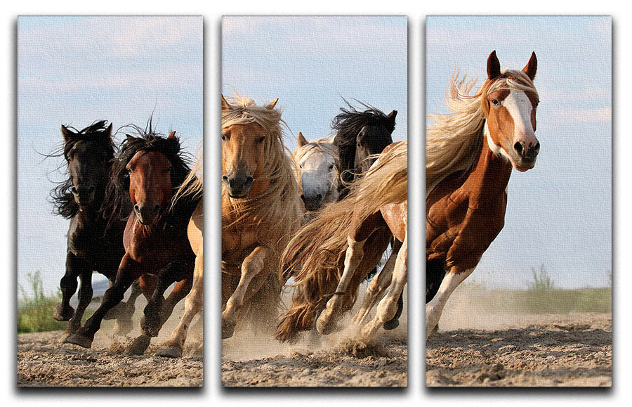 Lucky Six Horses 3 Split Panel Canvas Print - Canvas Art Rocks - 1