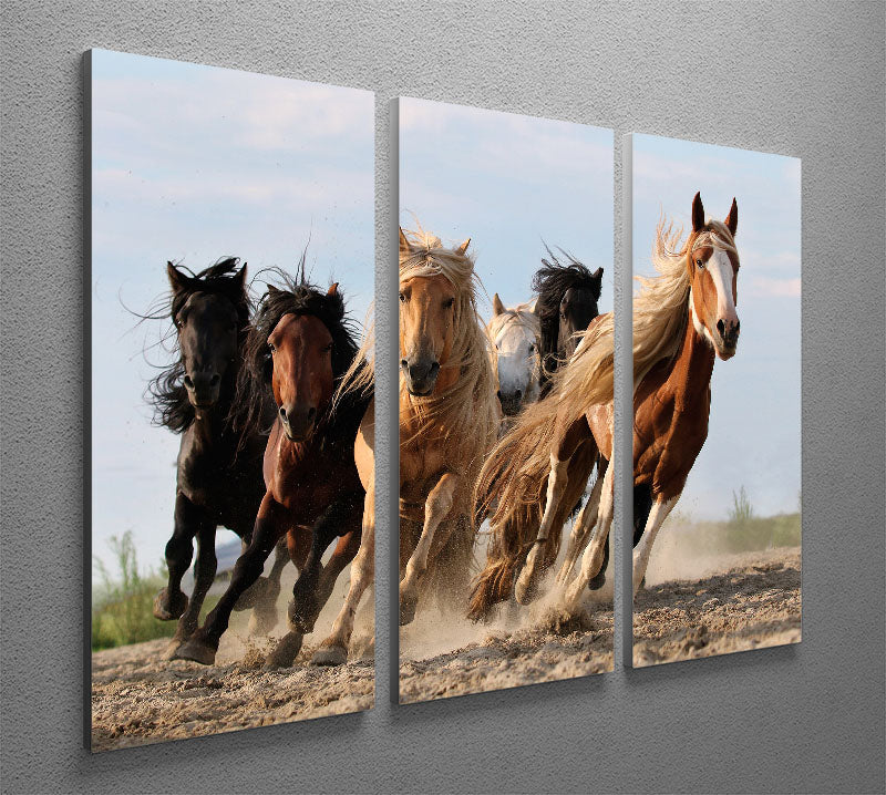 Lucky Six Horses 3 Split Panel Canvas Print - Canvas Art Rocks - 2