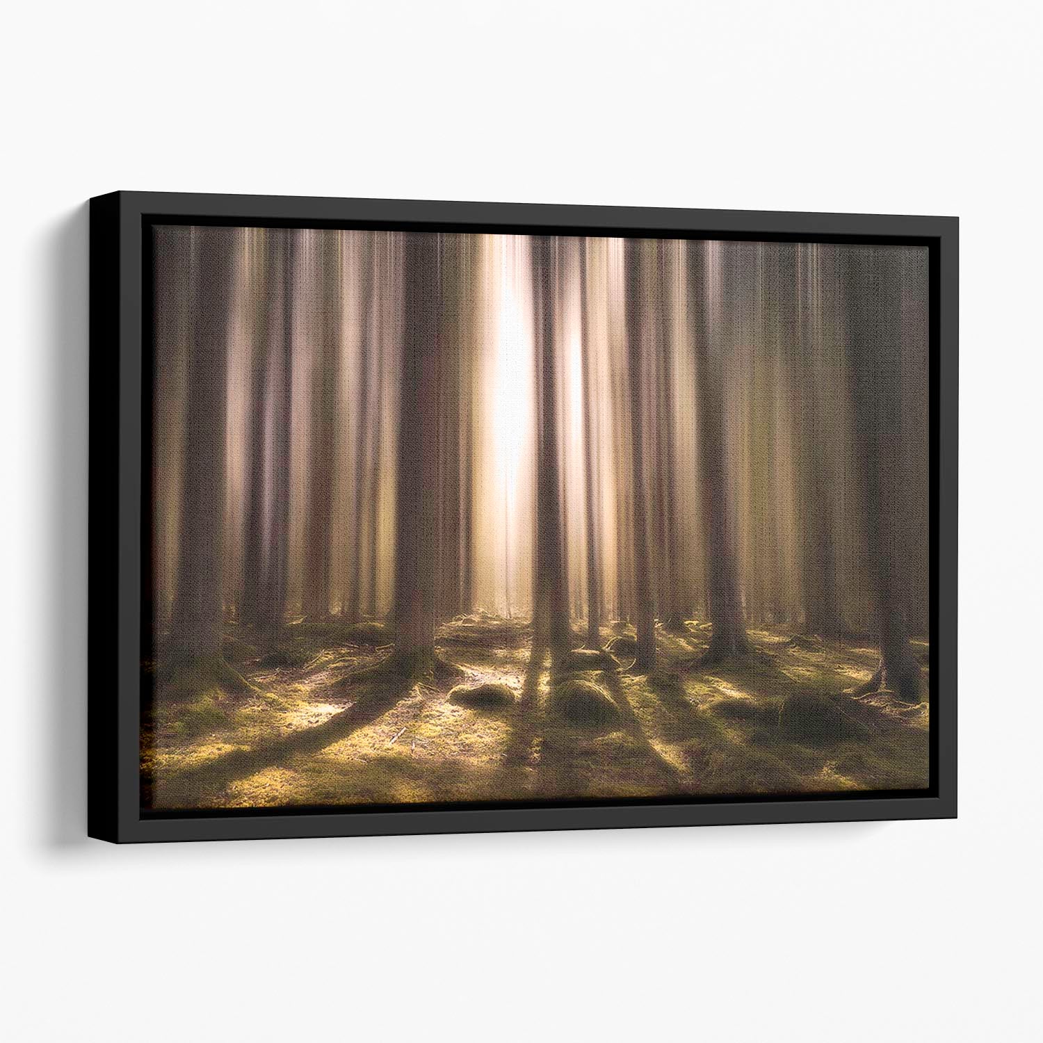 Breath Of Life Floating Framed Canvas - Canvas Art Rocks - 1