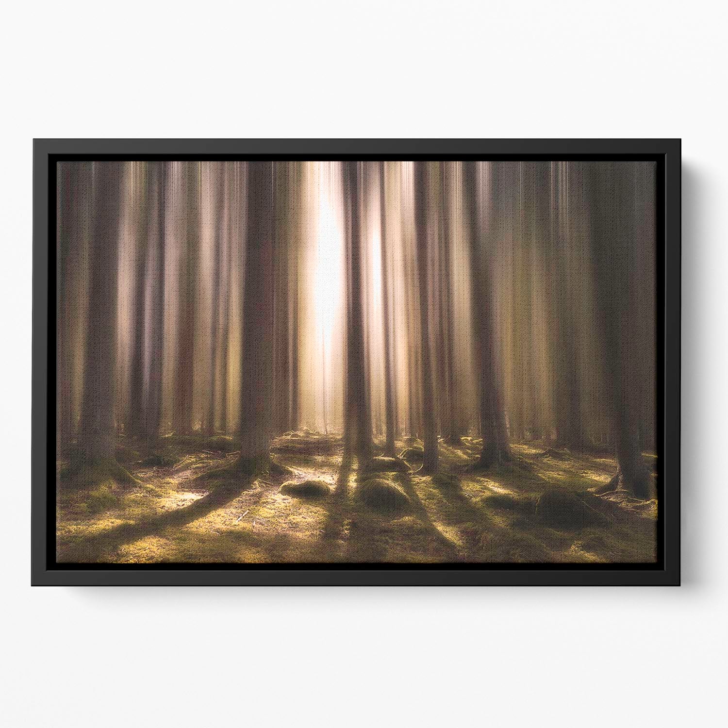 Breath Of Life Floating Framed Canvas - Canvas Art Rocks - 2