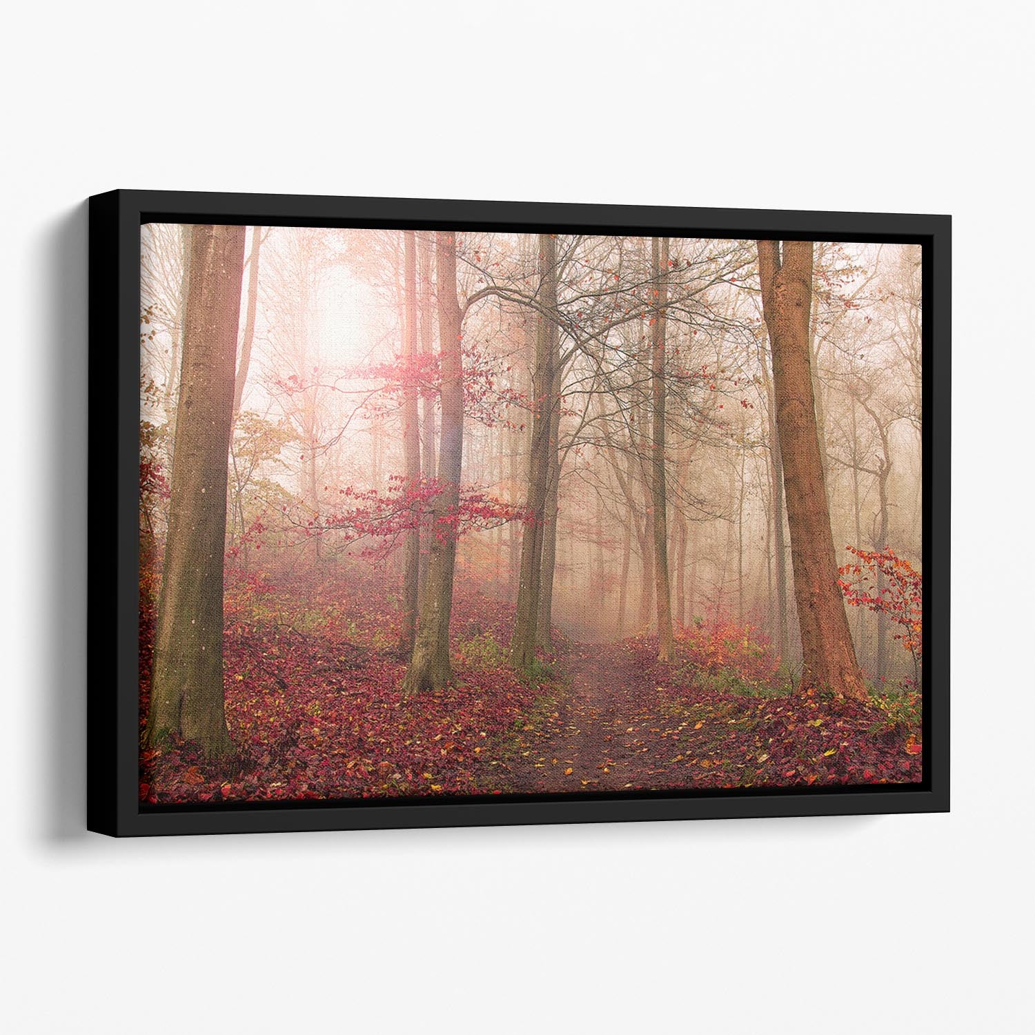 Forest Scene Floating Framed Canvas - Canvas Art Rocks - 1