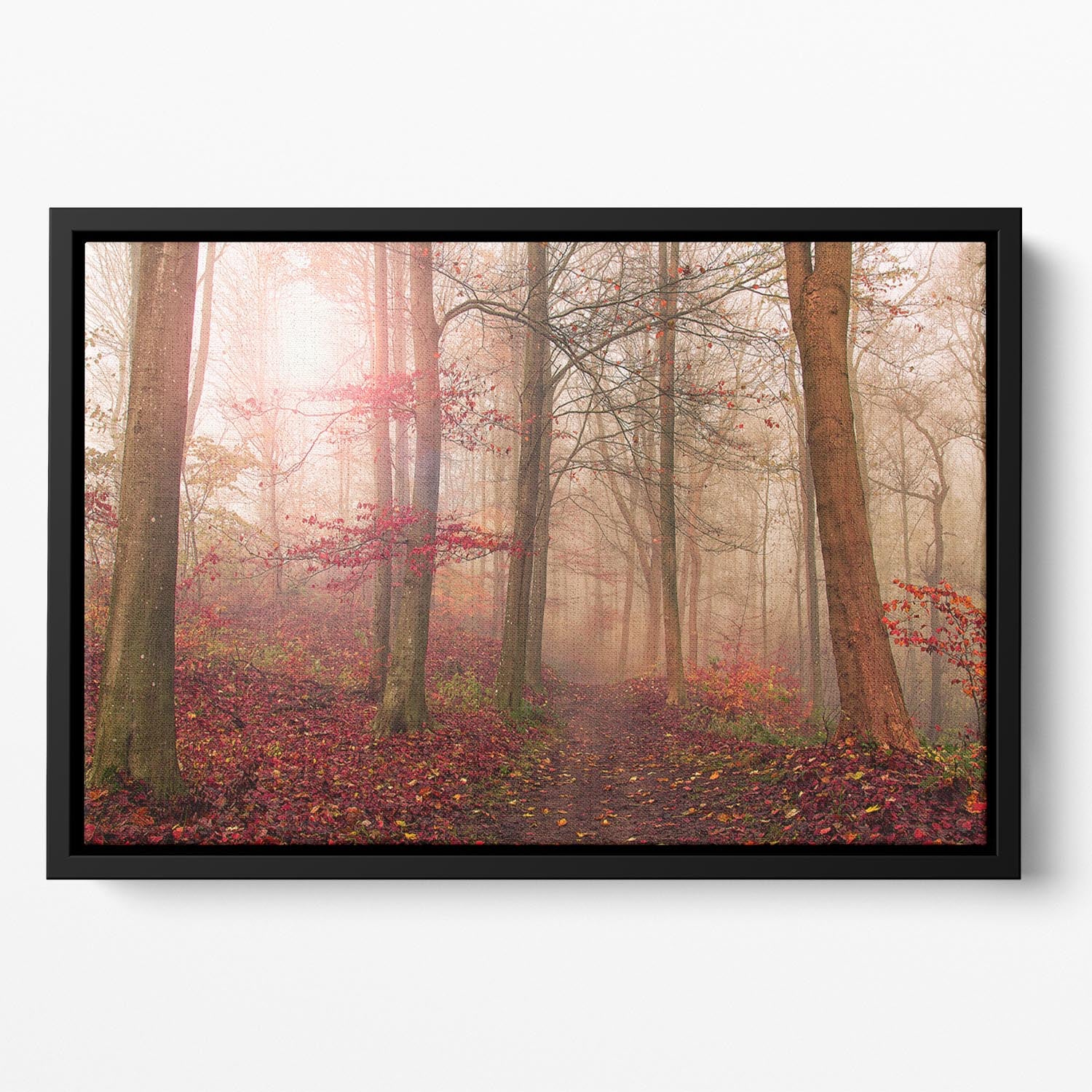 Forest Scene Floating Framed Canvas - Canvas Art Rocks - 2