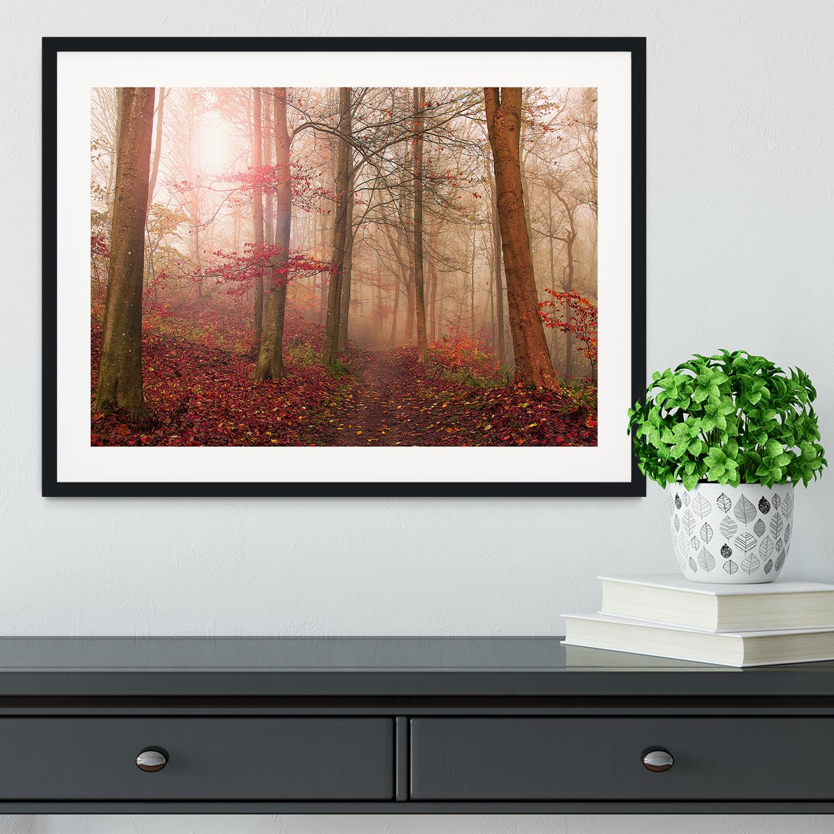 Forest Scene Framed Print - Canvas Art Rocks - 1