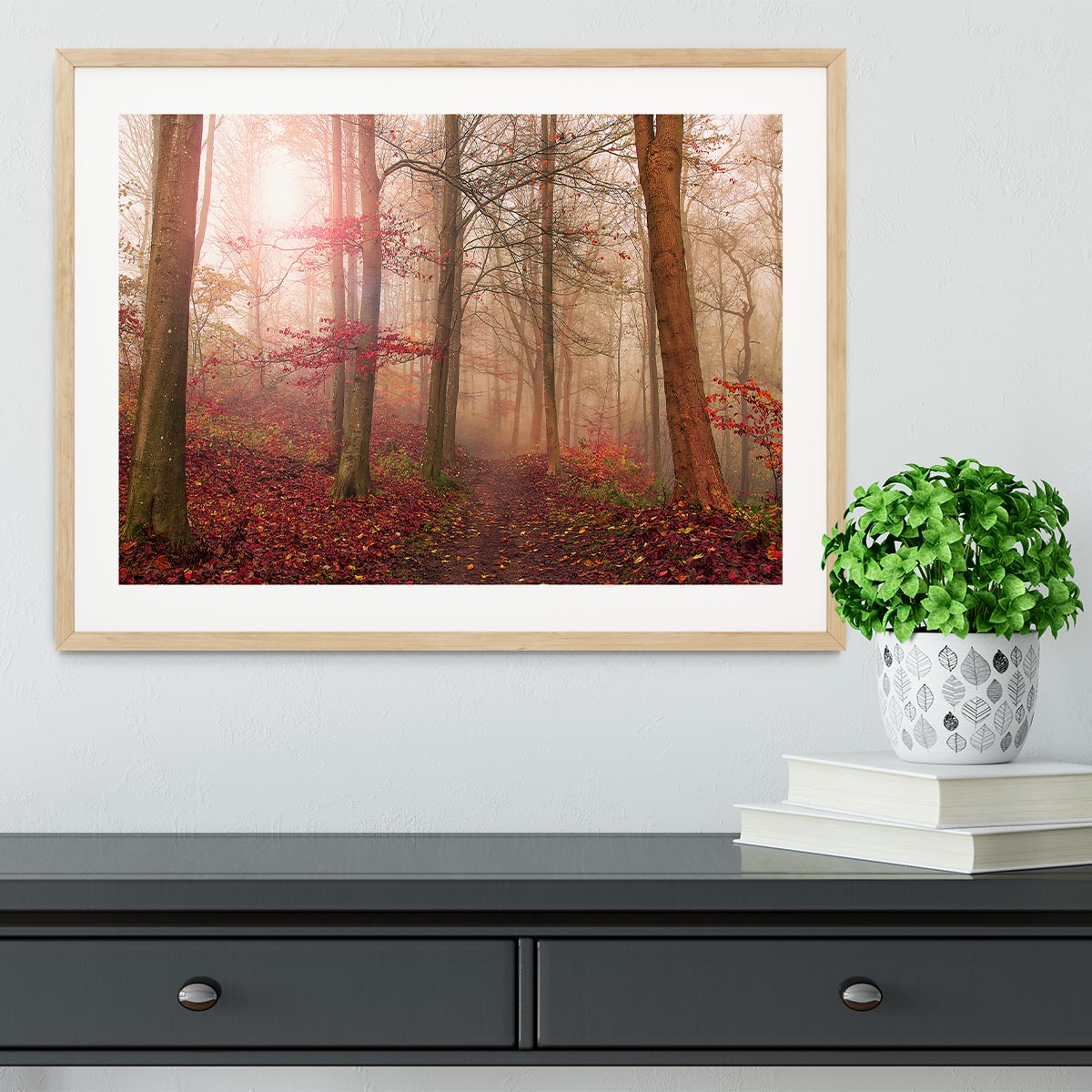 Forest Scene Framed Print - Canvas Art Rocks - 3