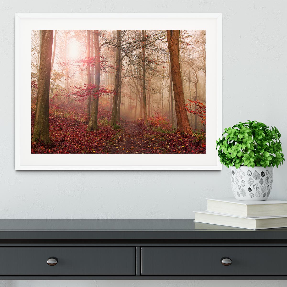 Forest Scene Framed Print - Canvas Art Rocks - 5