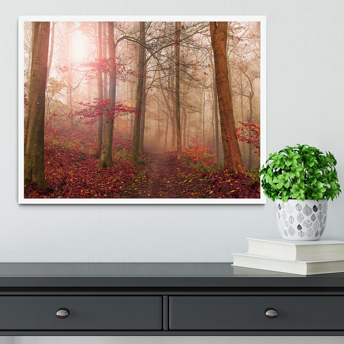 Forest Scene Framed Print - Canvas Art Rocks -6