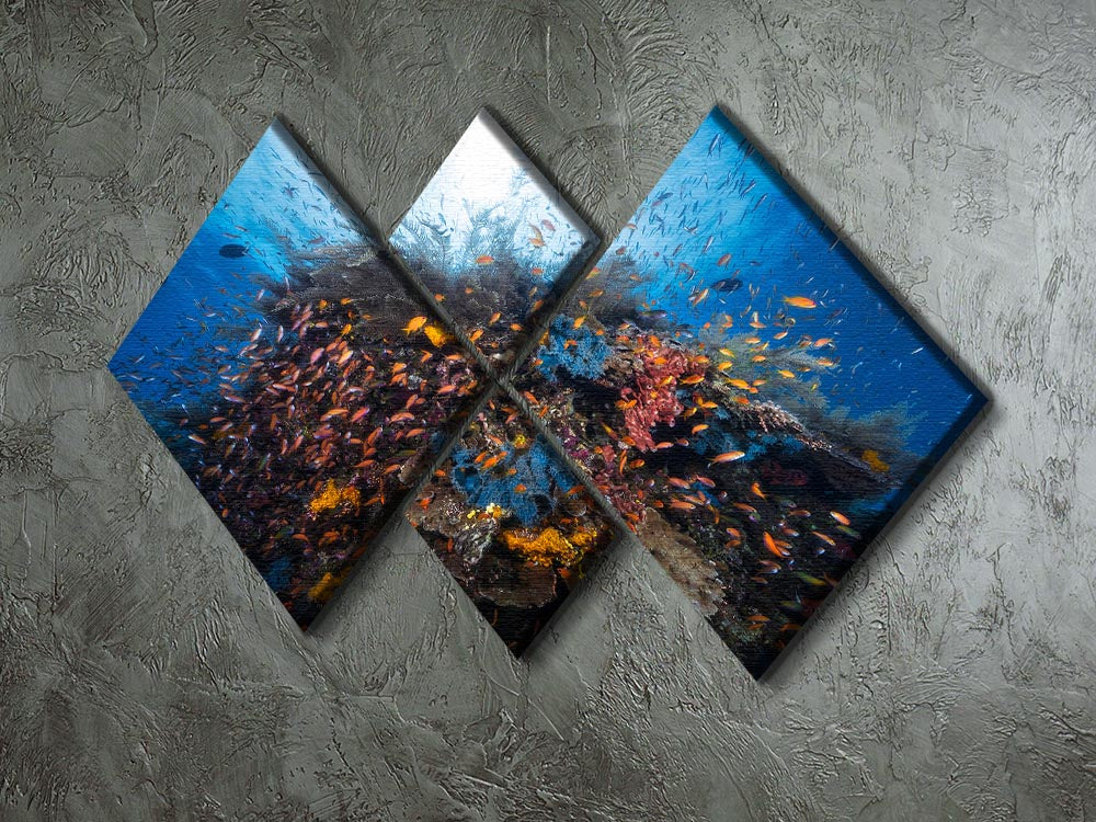 Life Explosion 4 Square Multi Panel Canvas - Canvas Art Rocks - 2