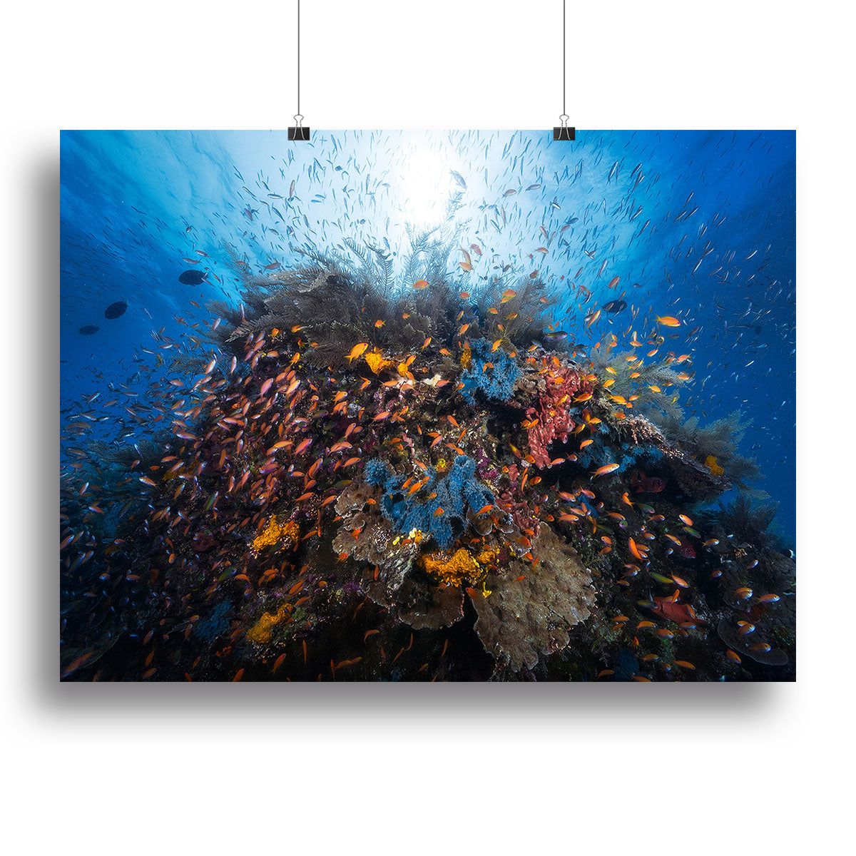 Life Explosion Canvas Print or Poster - Canvas Art Rocks - 2