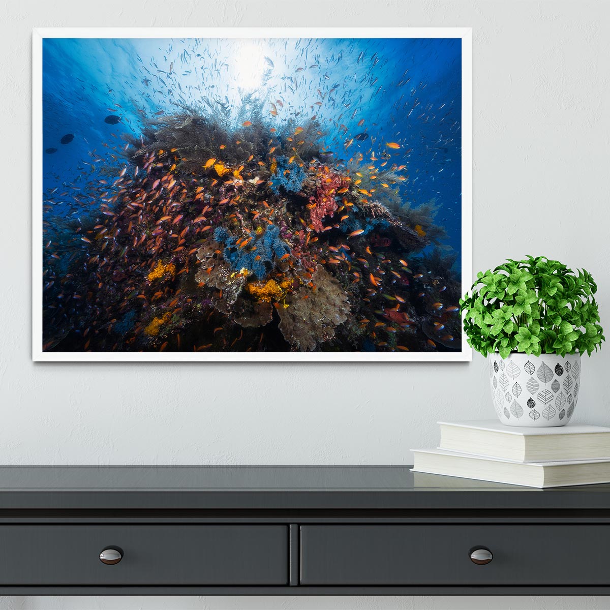 Life Explosion Framed Print - Canvas Art Rocks -6