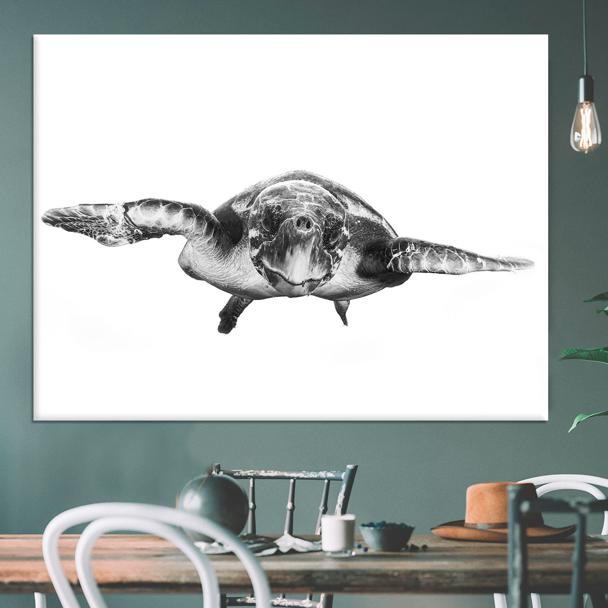 White And Turtle Canvas Print or Poster - Canvas Art Rocks - 3