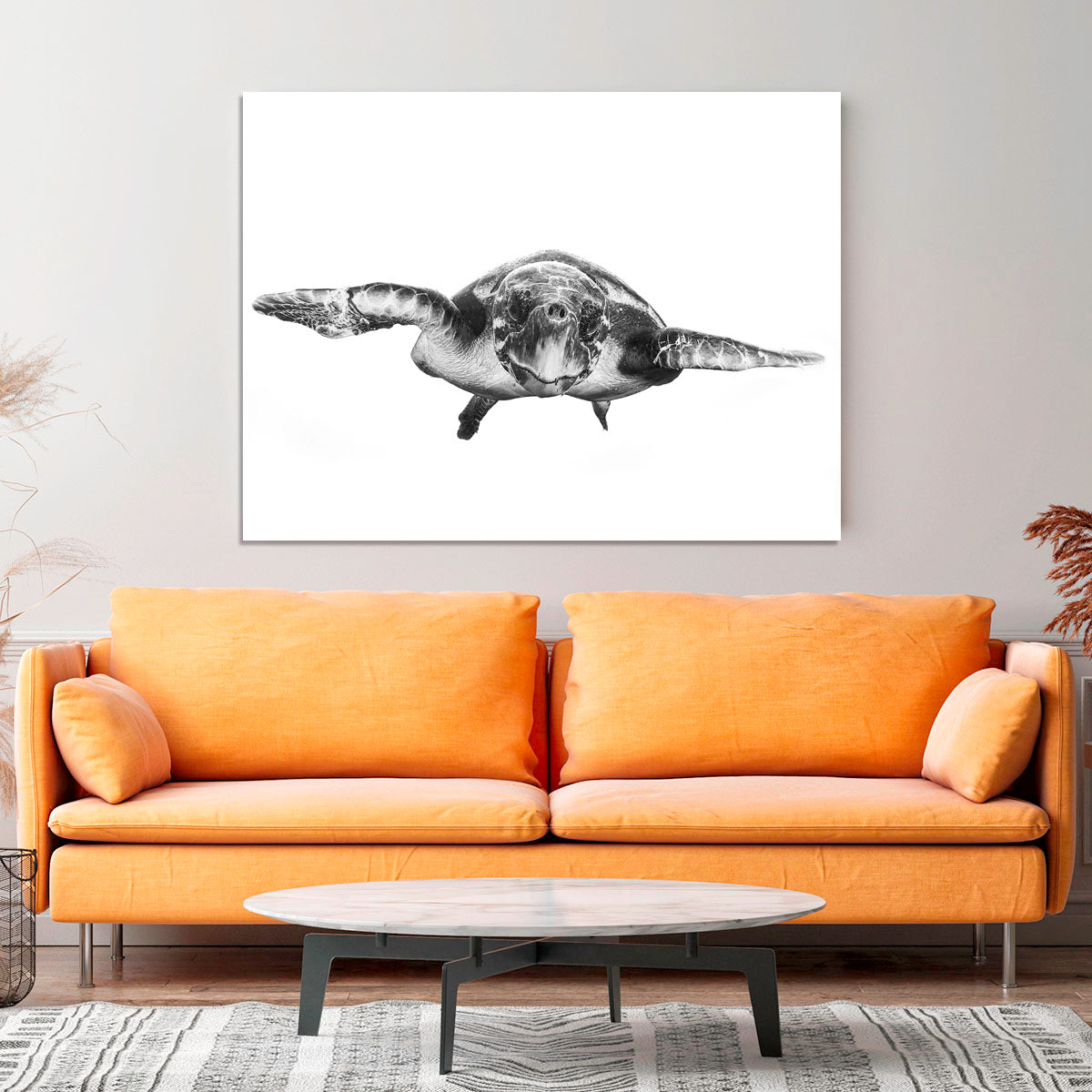 White And Turtle Canvas Print or Poster - Canvas Art Rocks - 4