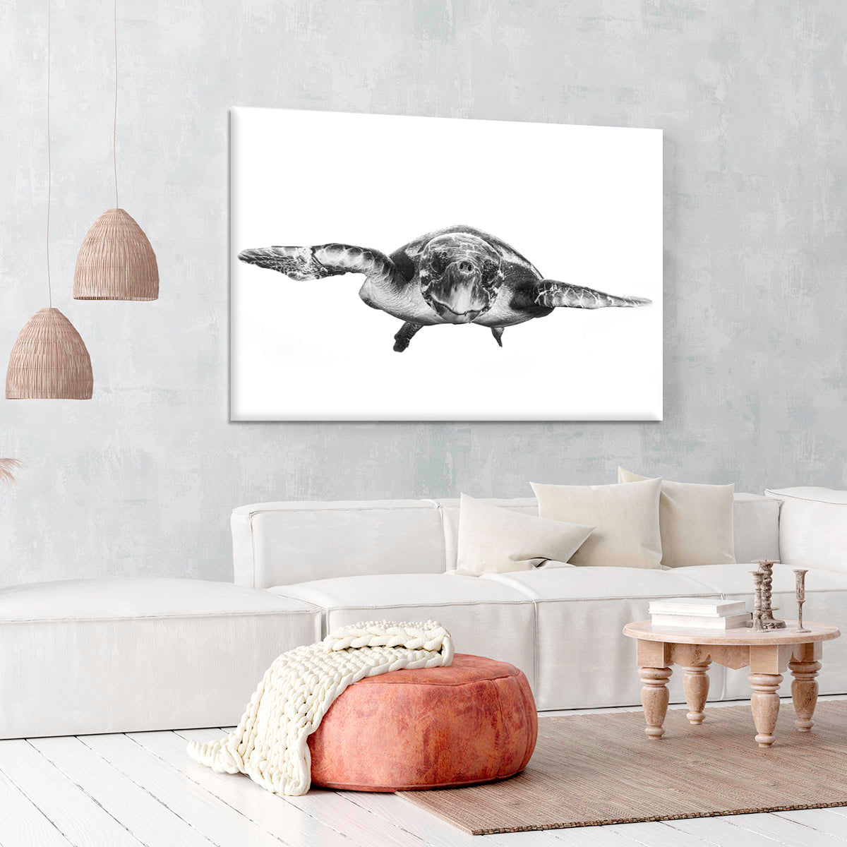 White And Turtle Canvas Print or Poster - Canvas Art Rocks - 6