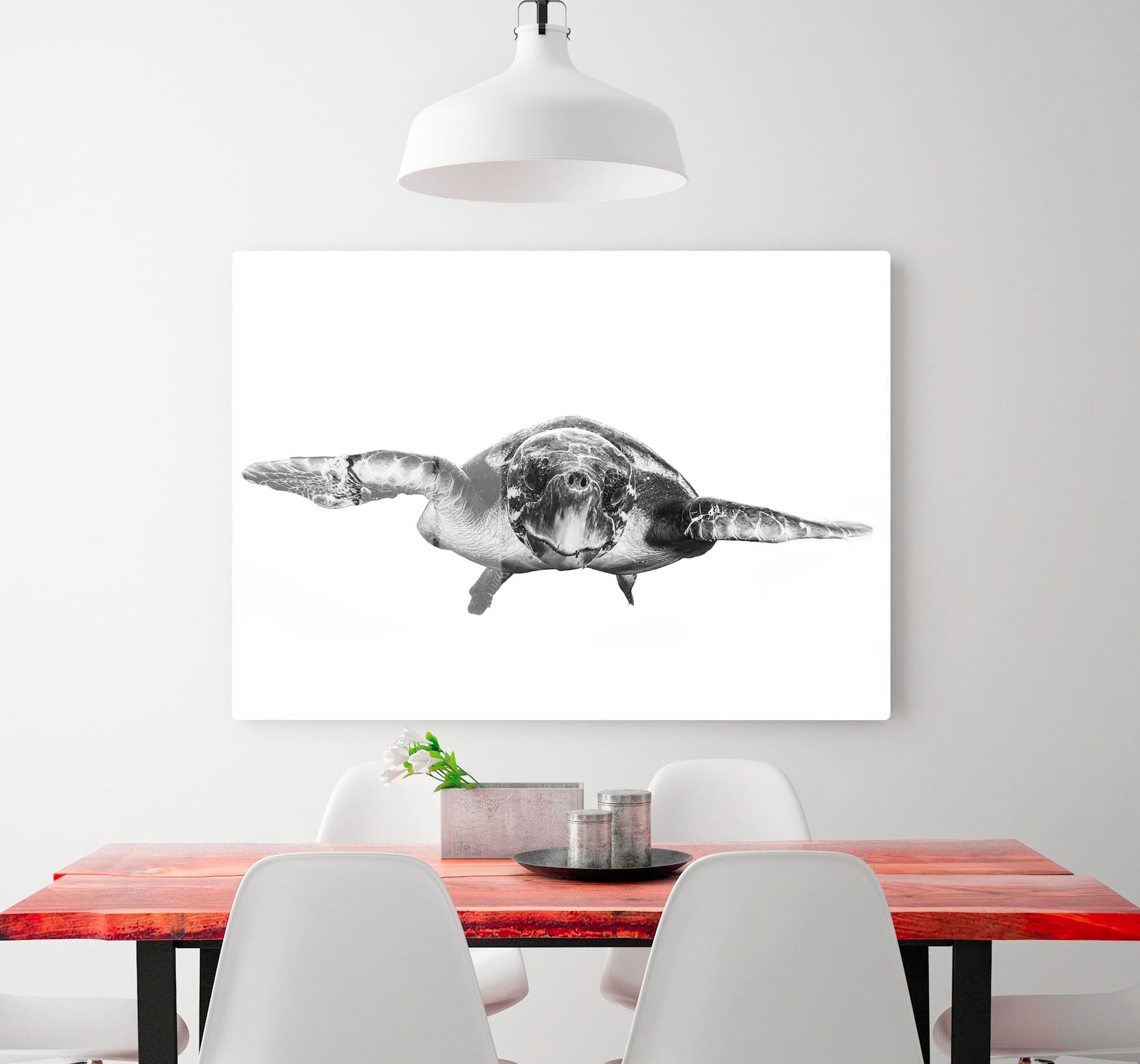 White And Turtle HD Metal Print - Canvas Art Rocks - 2