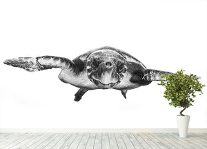 White And Turtle Wall Mural Wallpaper - Canvas Art Rocks - 4