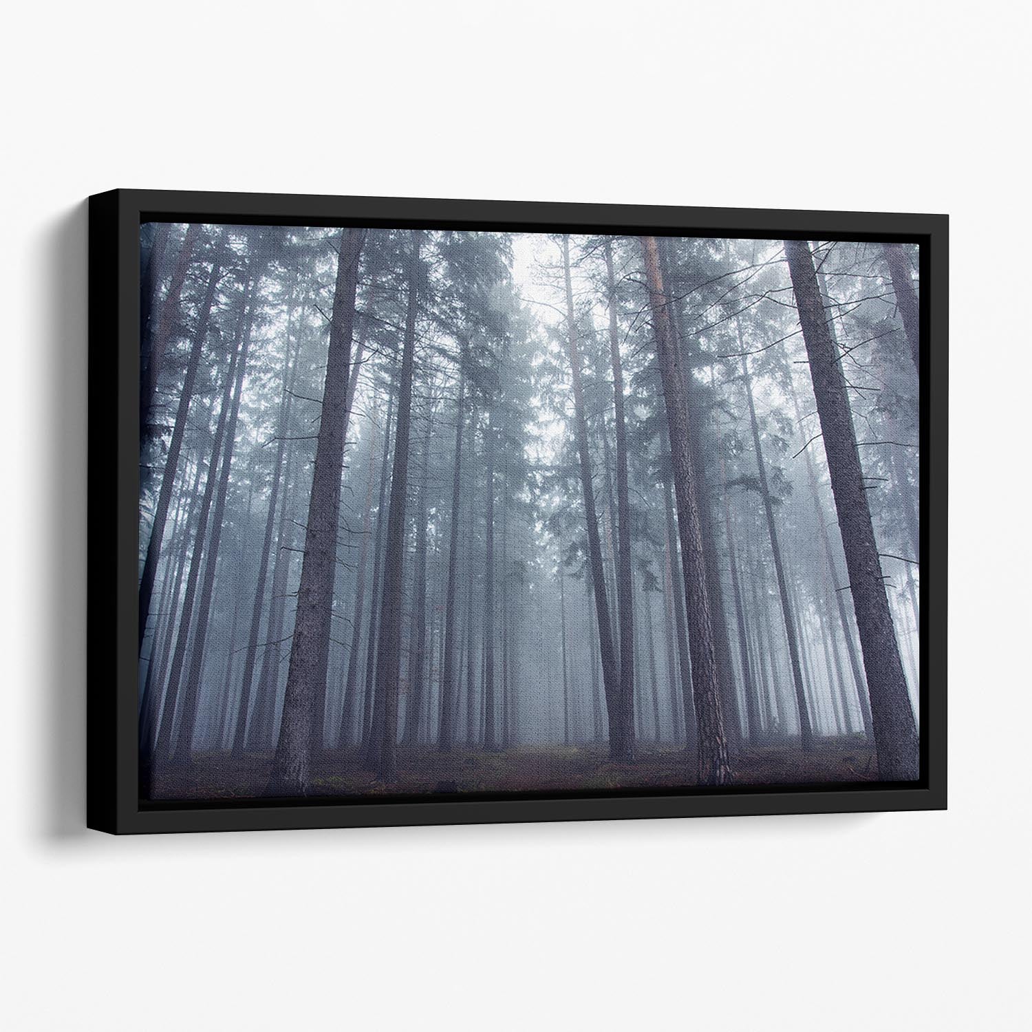 Mysterious Foggy Forest Floating Framed Canvas - Canvas Art Rocks - 1