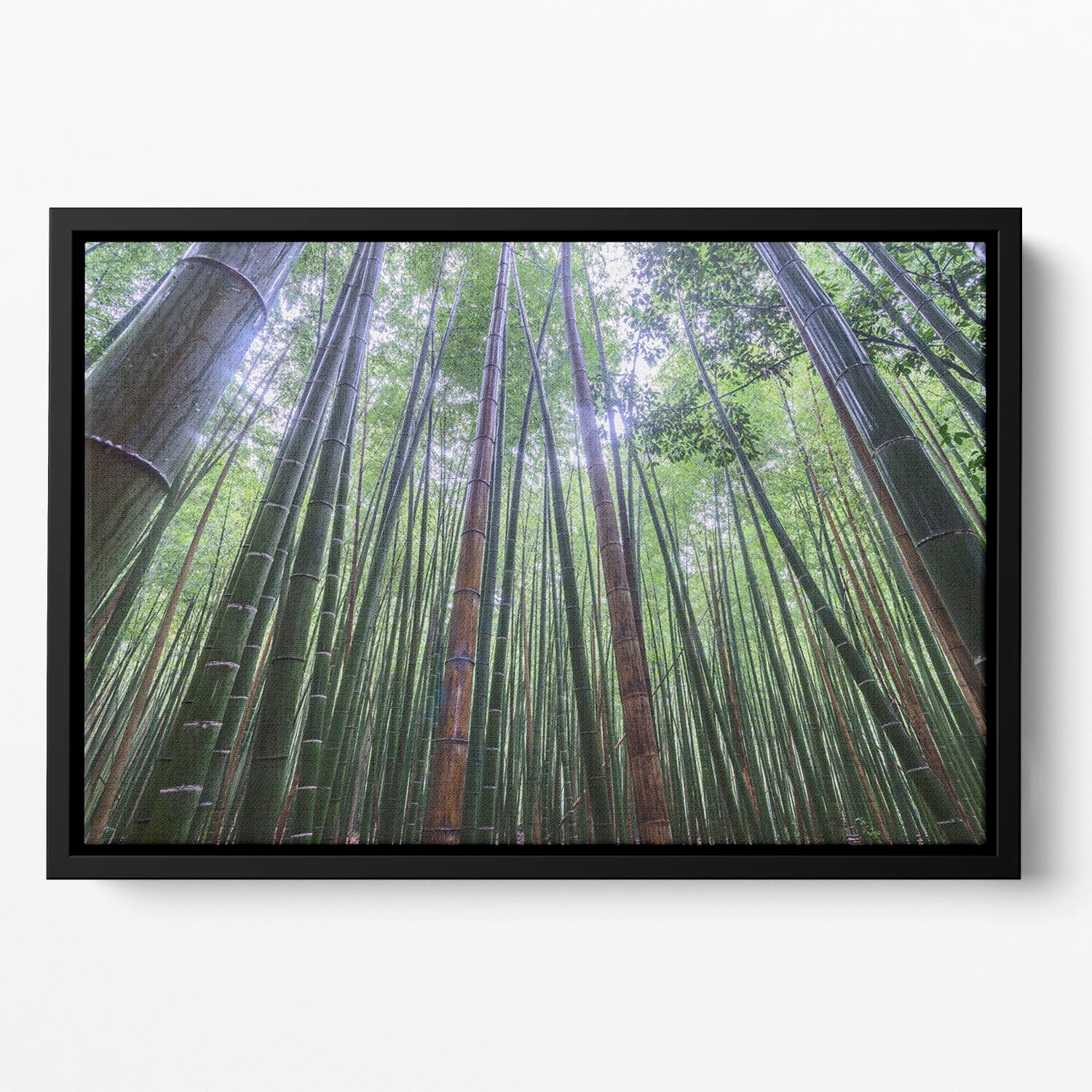 Tall Floating Framed Canvas - Canvas Art Rocks - 2