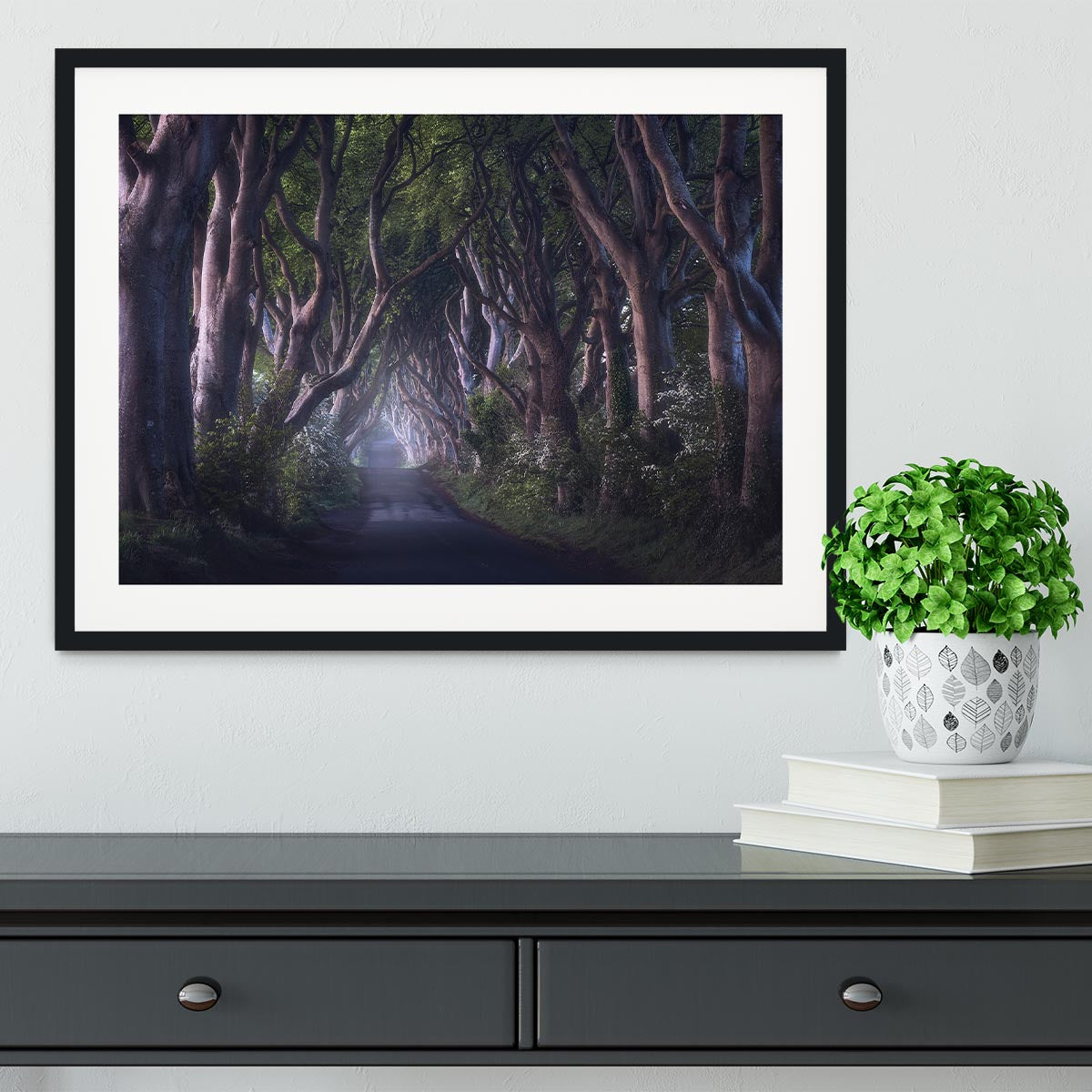 The Dark Hedges Framed Print - Canvas Art Rocks - 1