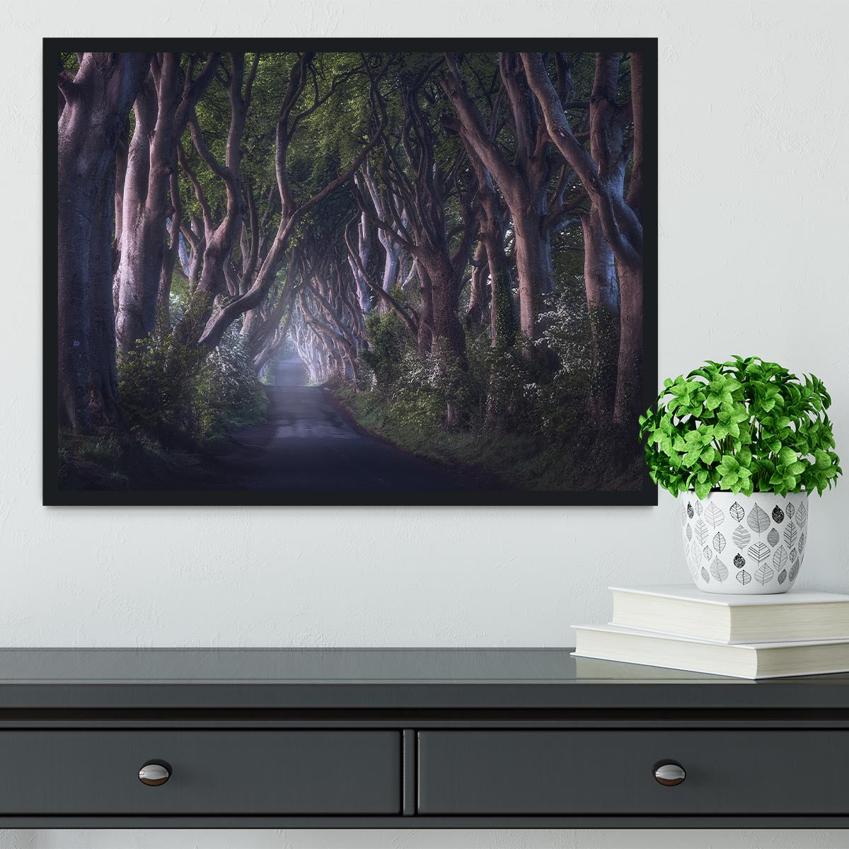 The Dark Hedges Framed Print - Canvas Art Rocks - 2