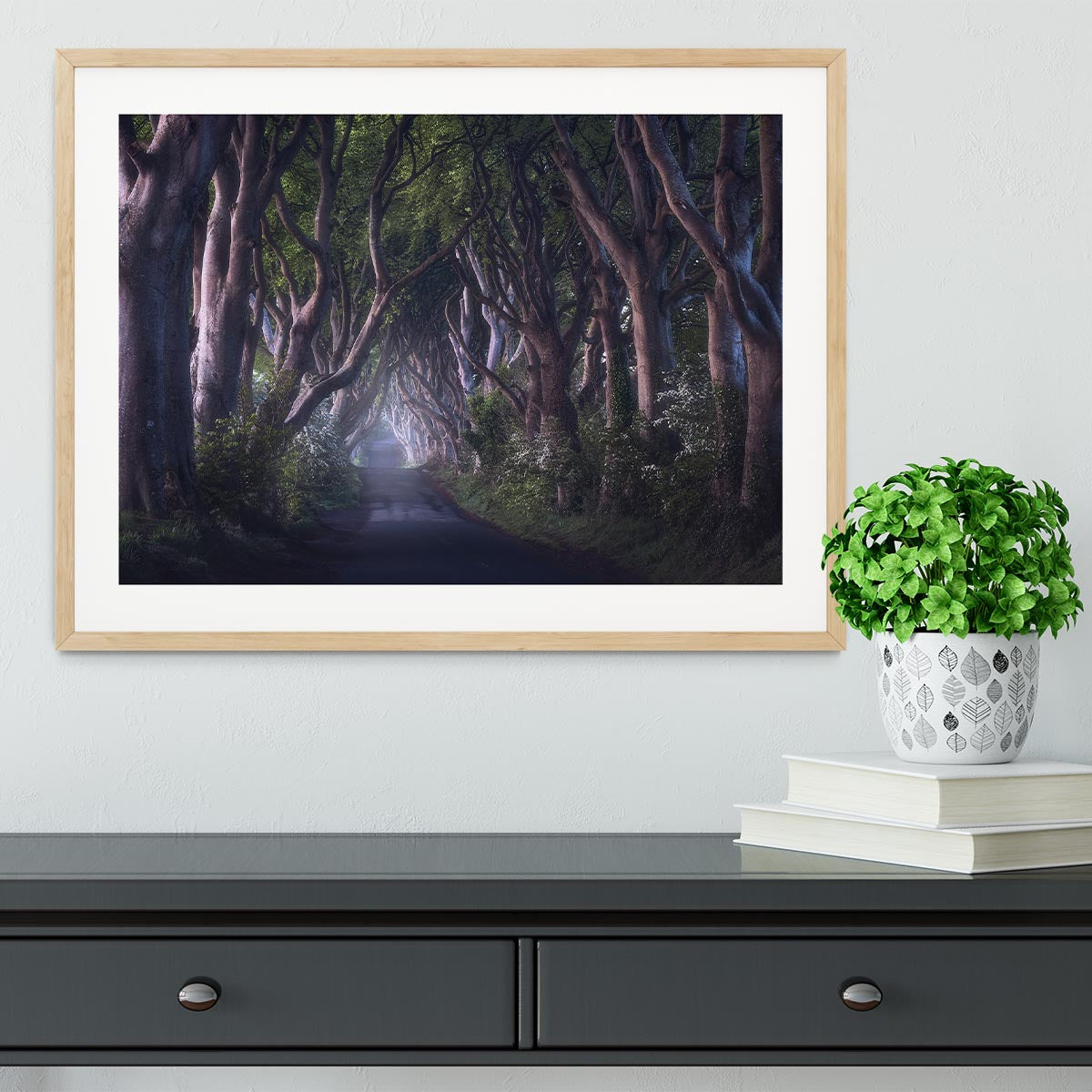 The Dark Hedges Framed Print - Canvas Art Rocks - 3