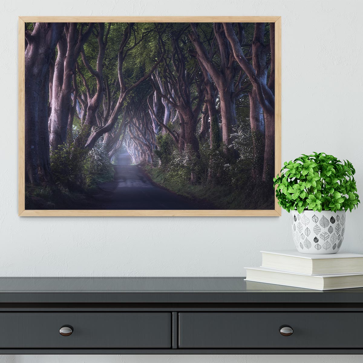 The Dark Hedges Framed Print - Canvas Art Rocks - 4