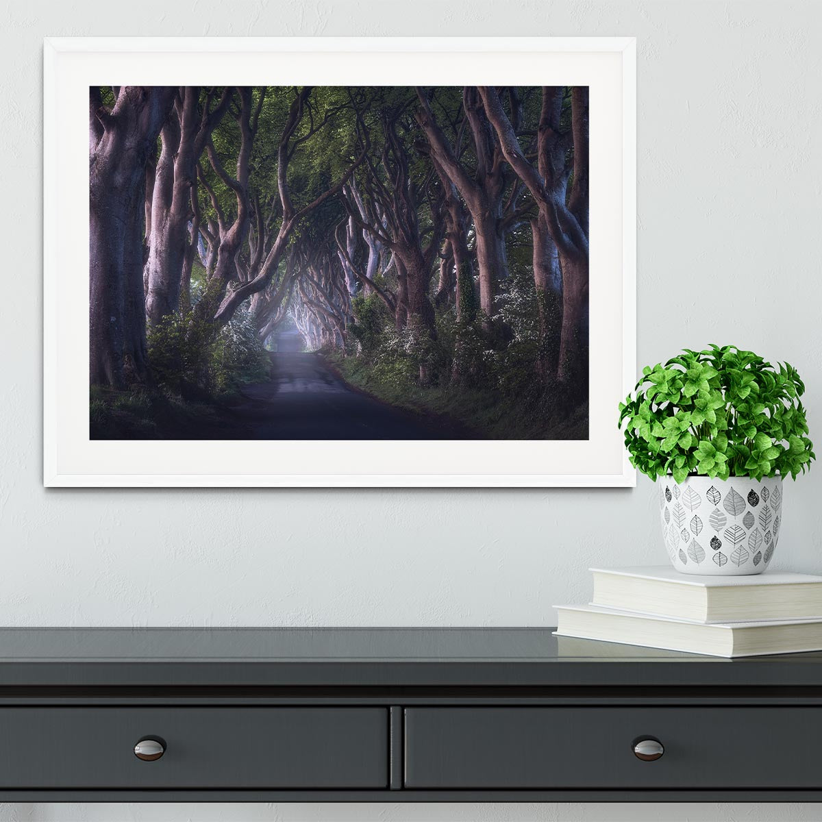 The Dark Hedges Framed Print - Canvas Art Rocks - 5