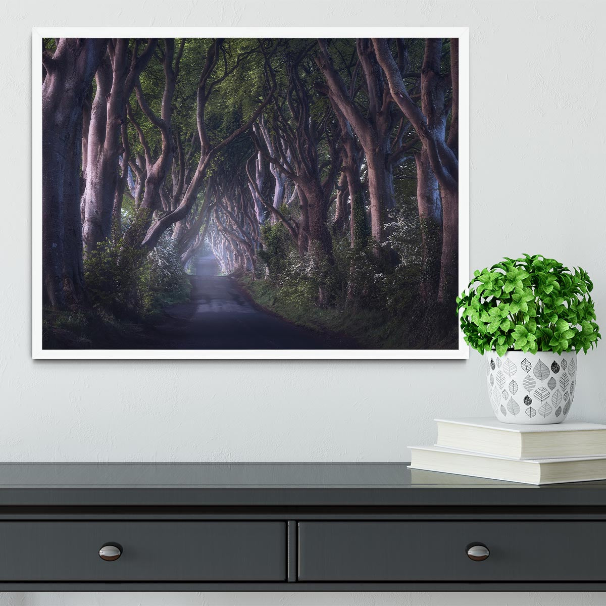 The Dark Hedges Framed Print - Canvas Art Rocks -6