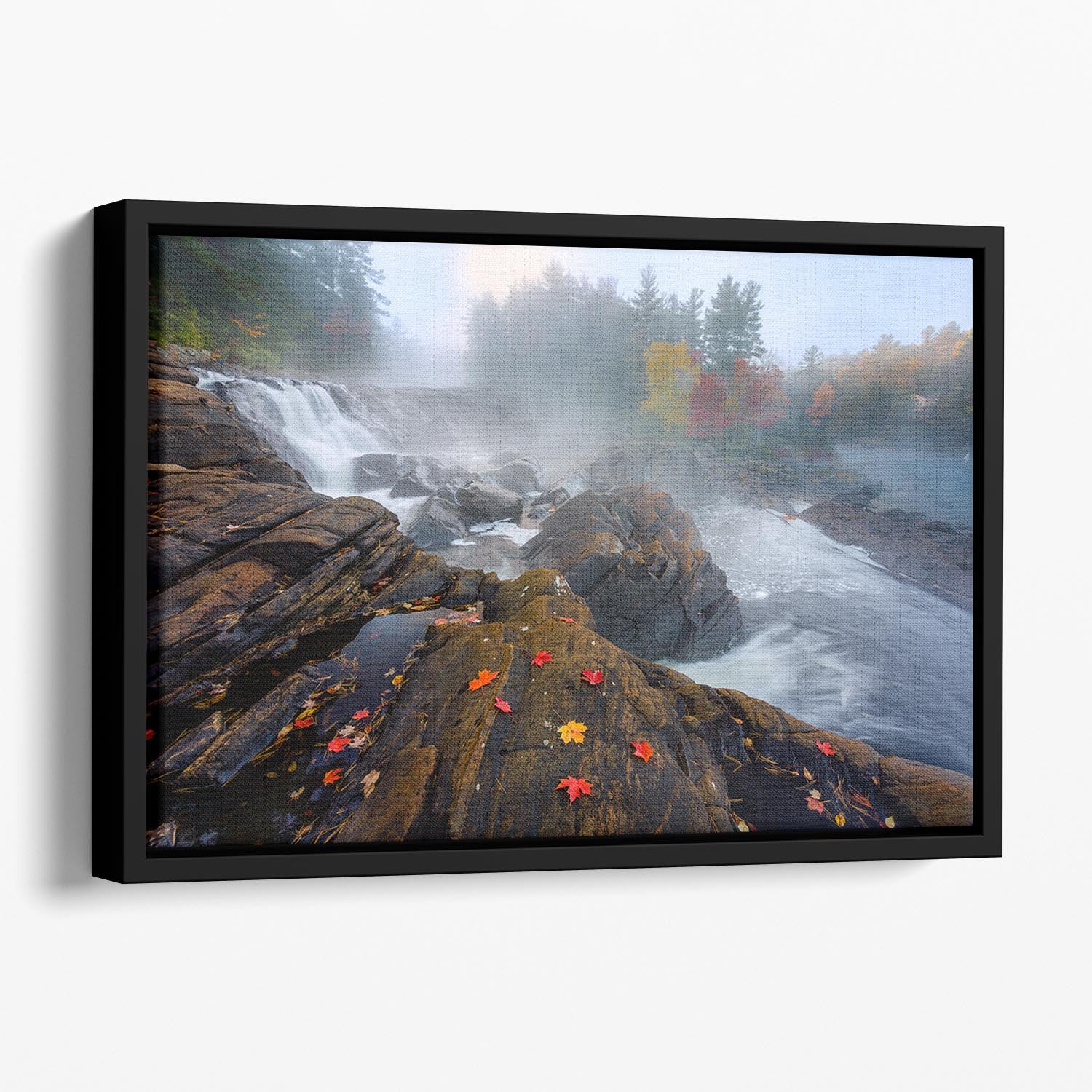 Autumn In Canada Floating Framed Canvas - Canvas Art Rocks - 1