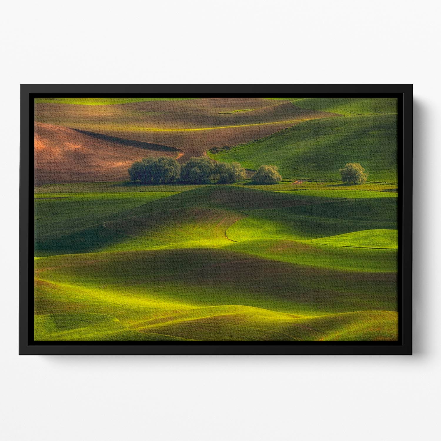 Spring In The Palouse Floating Framed Canvas - Canvas Art Rocks - 2