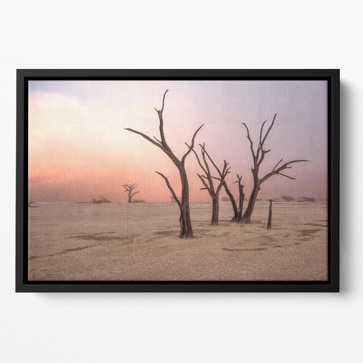 Fog In Deadvlei Floating Framed Canvas - Canvas Art Rocks - 2