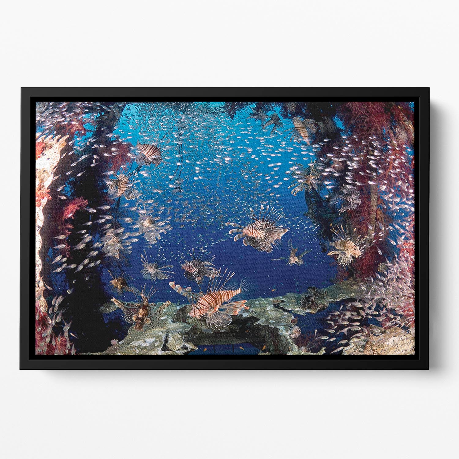 Lionfish Party Floating Framed Canvas - Canvas Art Rocks - 2