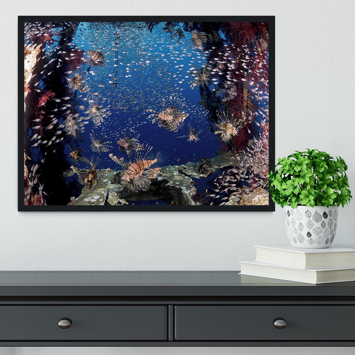 Lionfish Party Framed Print - Canvas Art Rocks - 2
