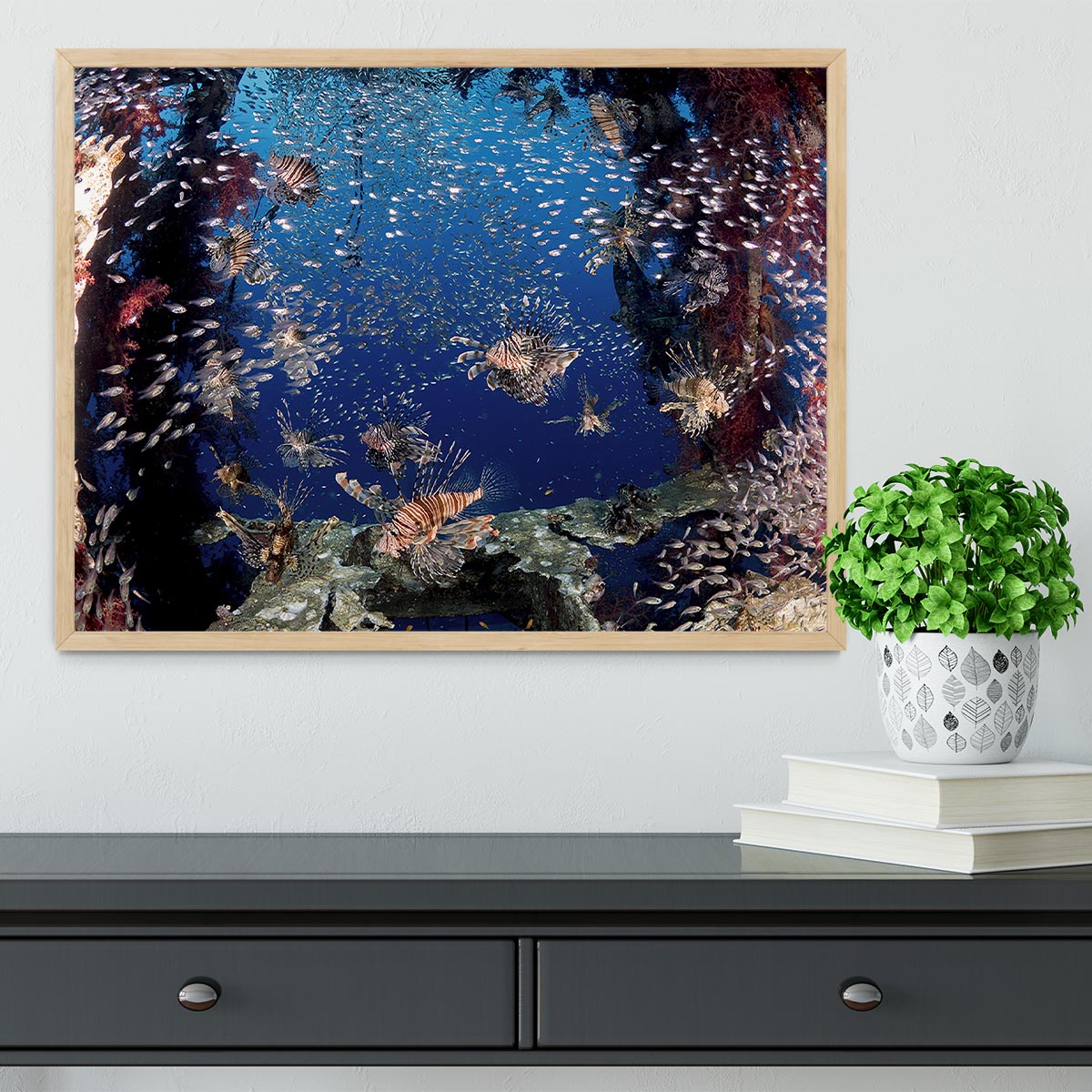 Lionfish Party Framed Print - Canvas Art Rocks - 4