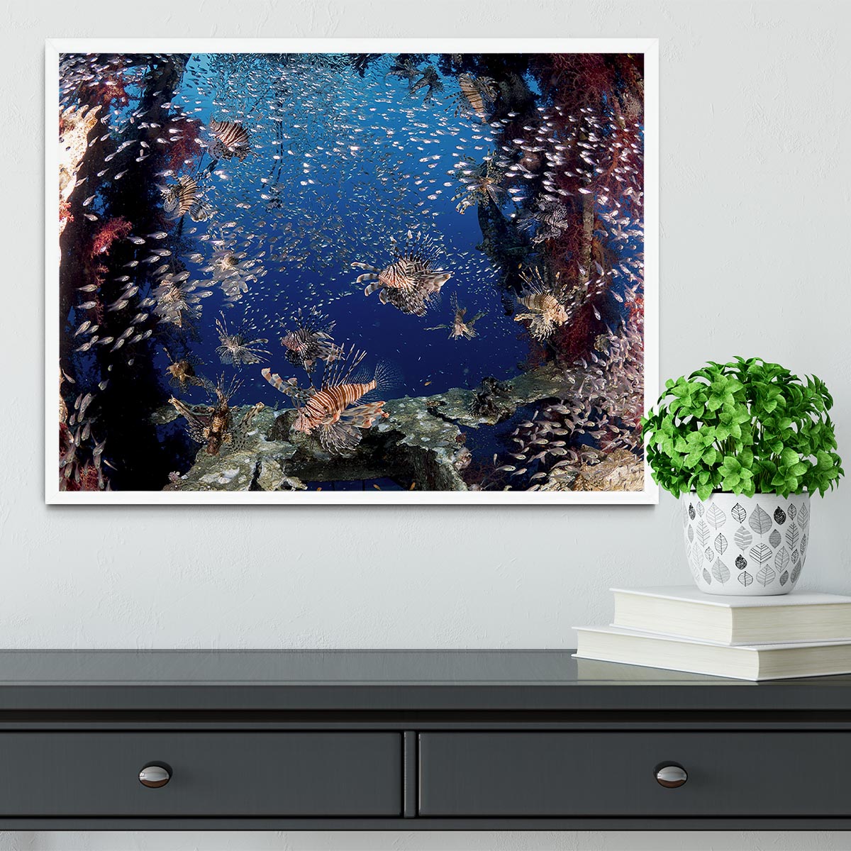 Lionfish Party Framed Print - Canvas Art Rocks -6