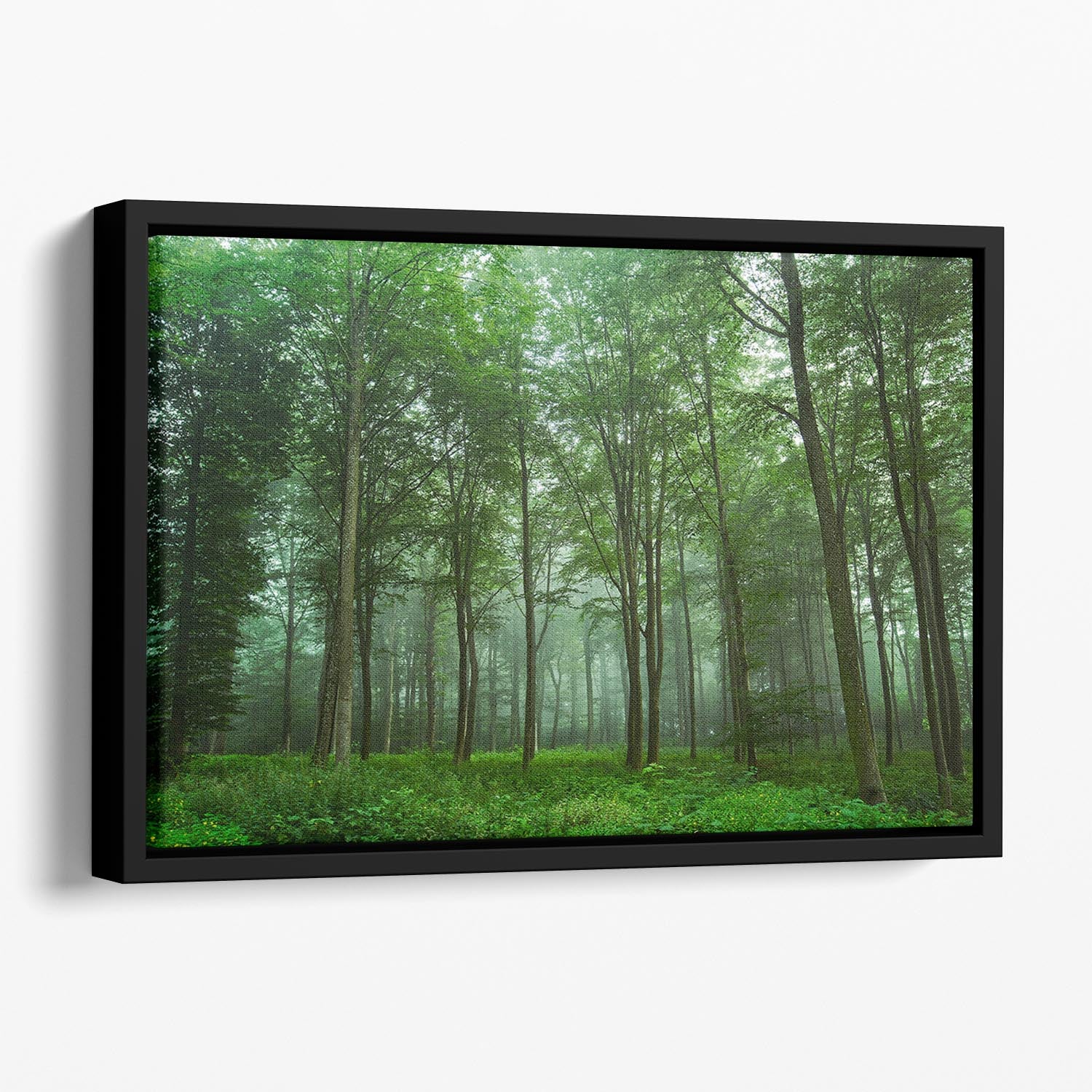 Forest View Floating Framed Canvas - Canvas Art Rocks - 1