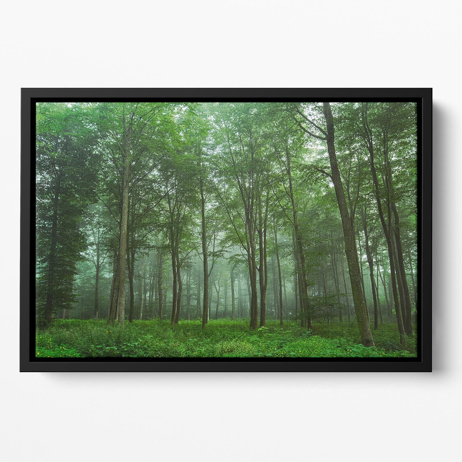 Forest View Floating Framed Canvas - Canvas Art Rocks - 2