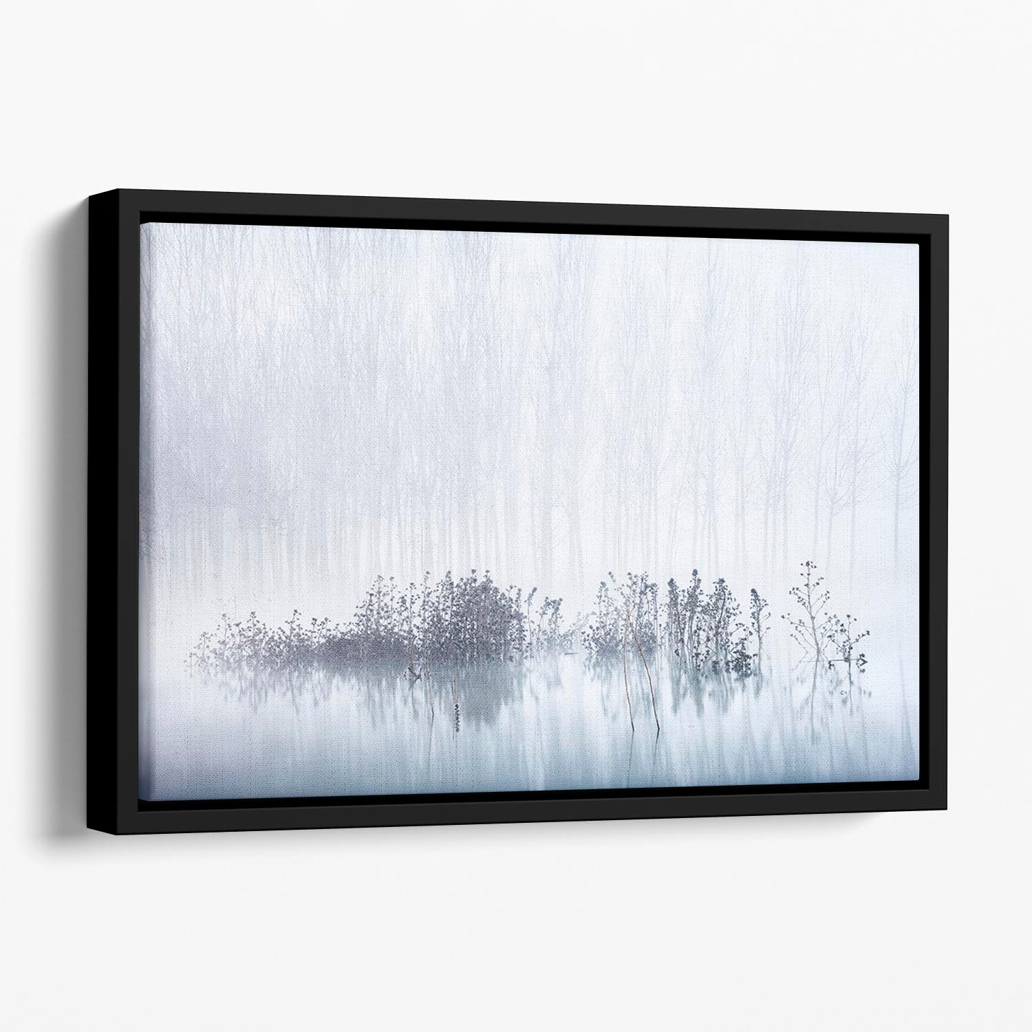 Cold A Foggy Morning In The Swamp Floating Framed Canvas - Canvas Art Rocks - 1