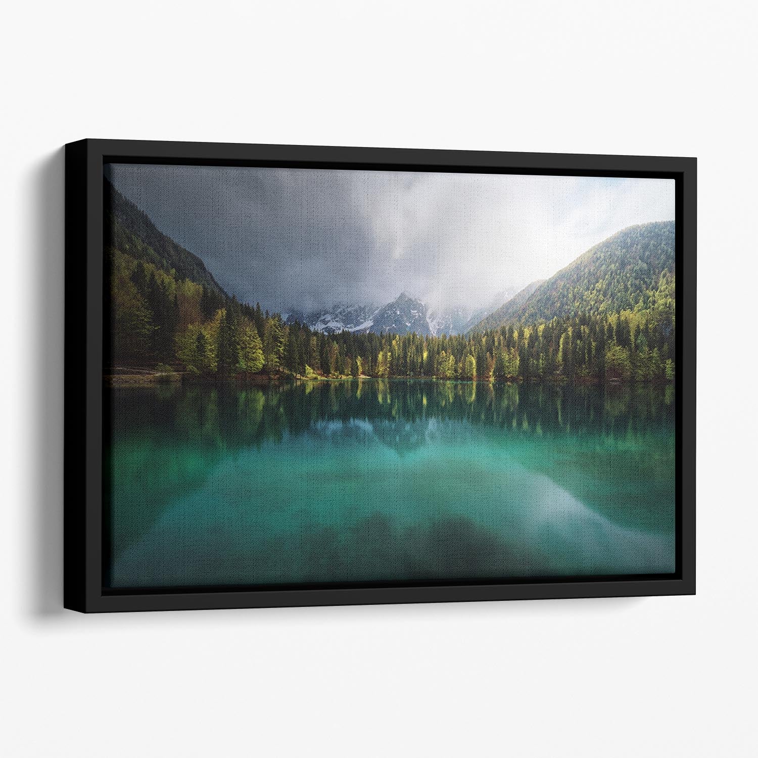 Menta Floating Framed Canvas - Canvas Art Rocks - 1