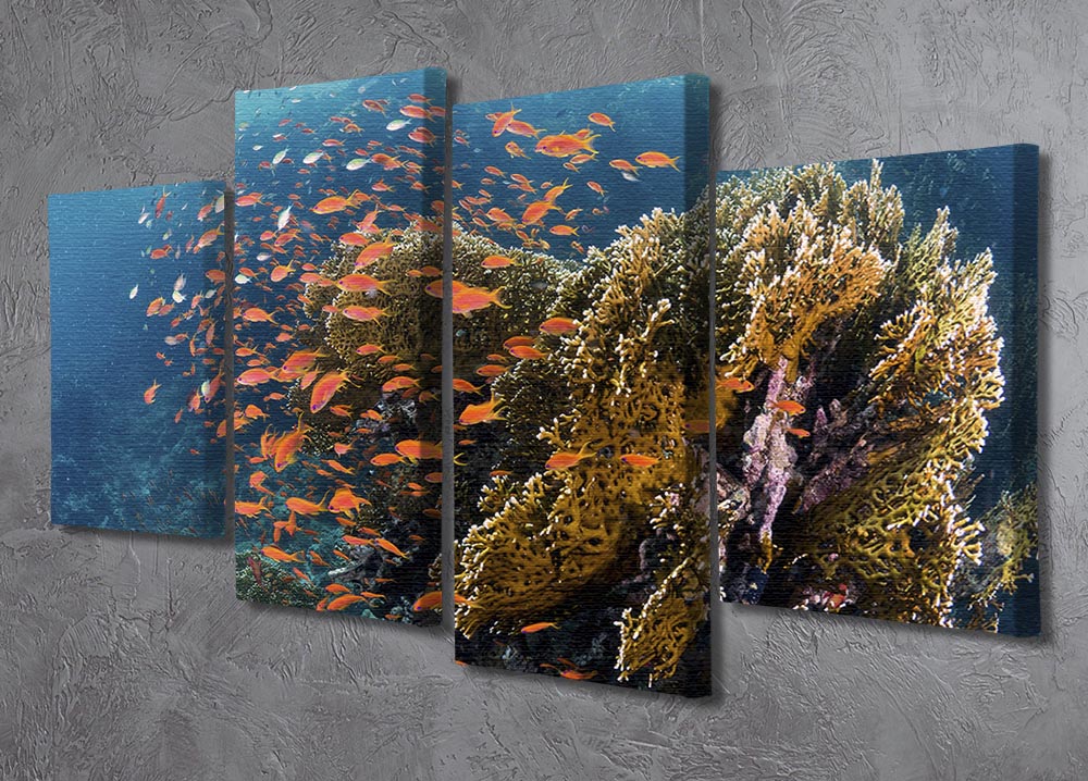 Reefscape 4 Split Panel Canvas - Canvas Art Rocks - 2