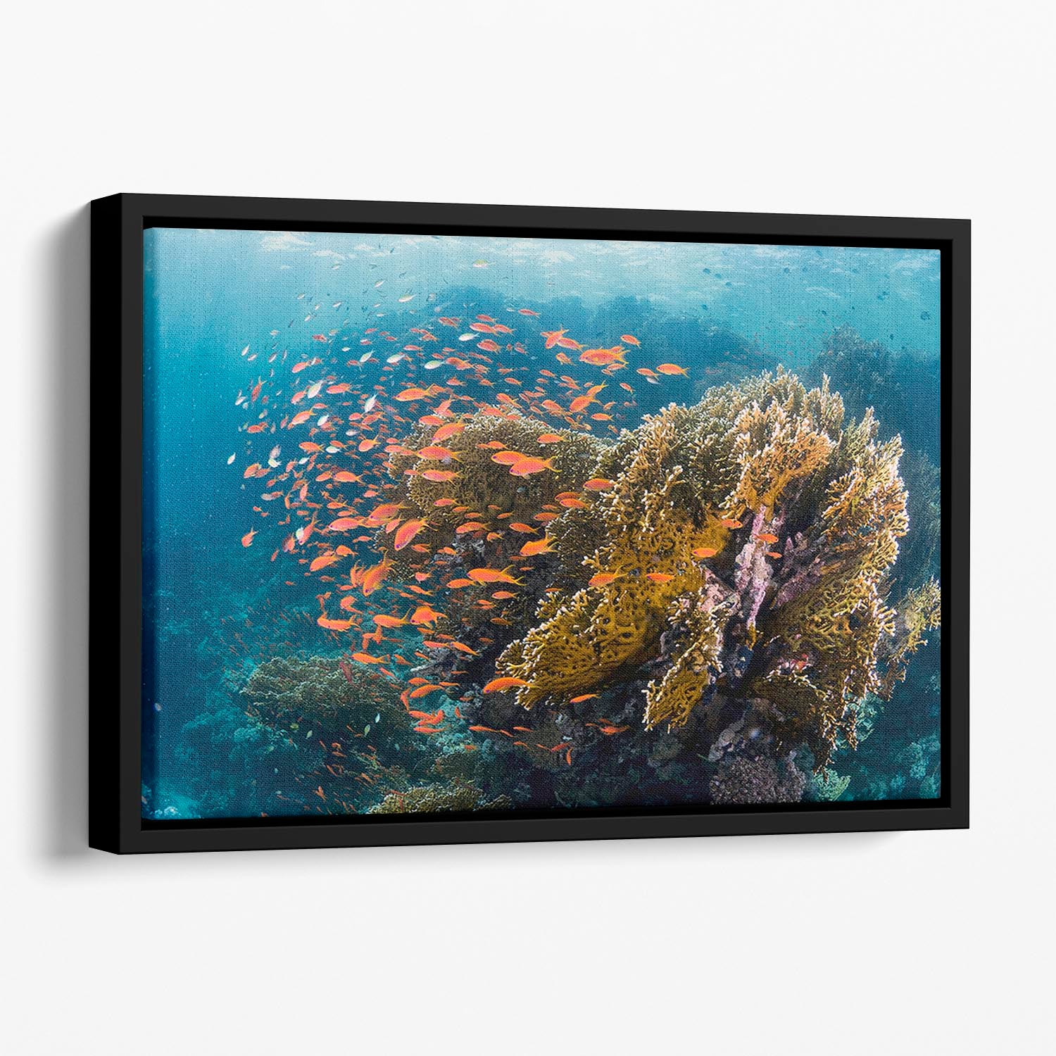 Reefscape Floating Framed Canvas - Canvas Art Rocks - 1
