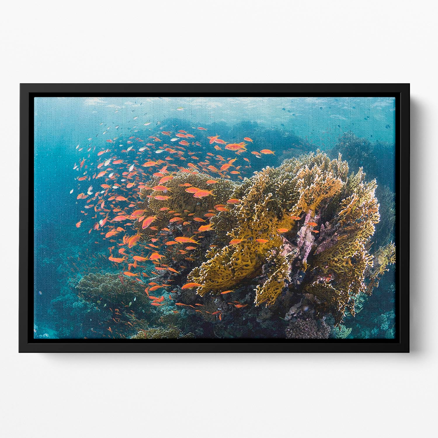 Reefscape Floating Framed Canvas - Canvas Art Rocks - 2