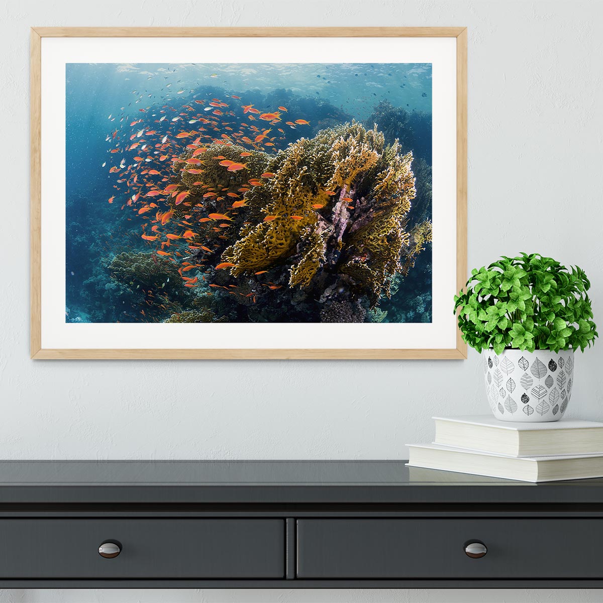 Reefscape Framed Print - Canvas Art Rocks - 3