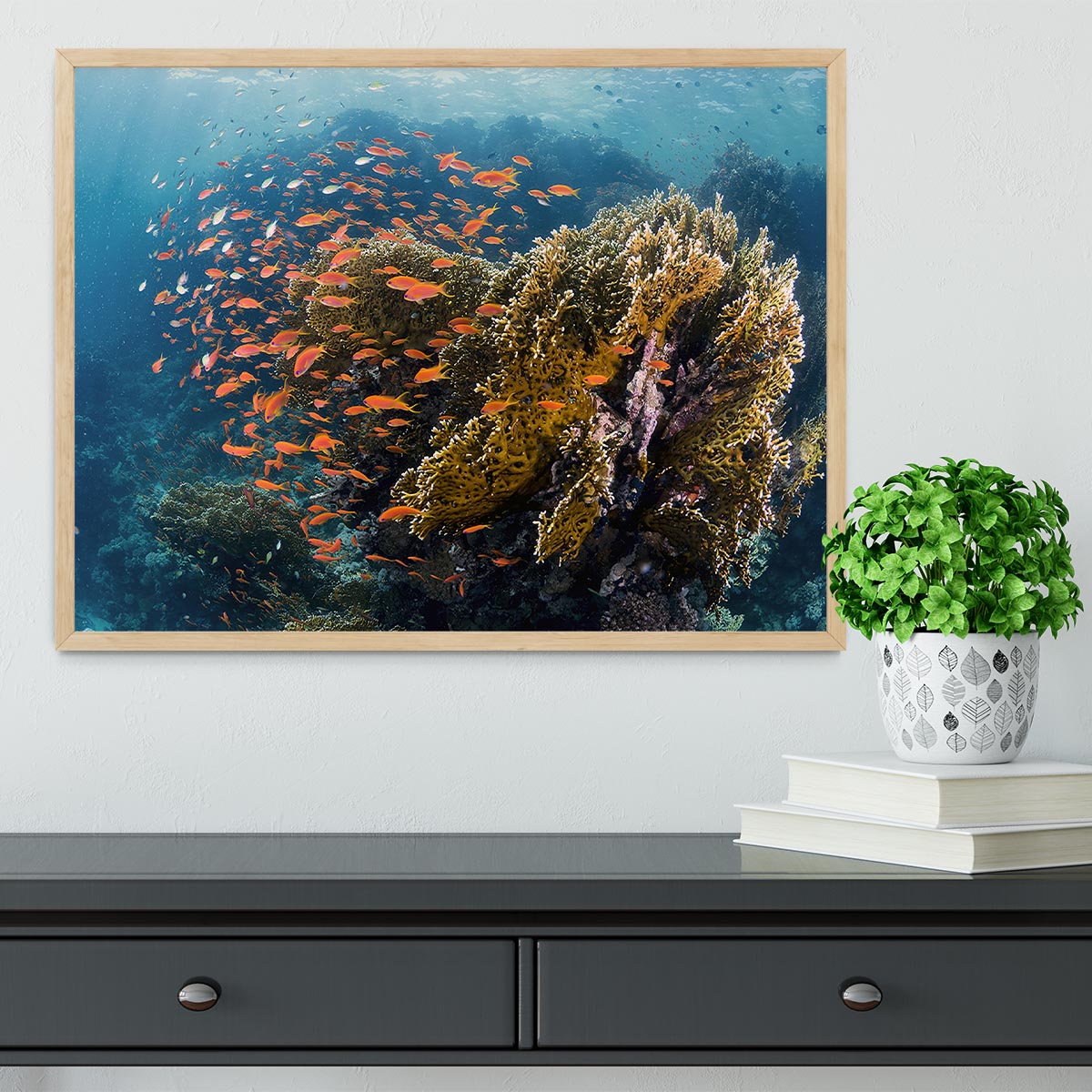 Reefscape Framed Print - Canvas Art Rocks - 4