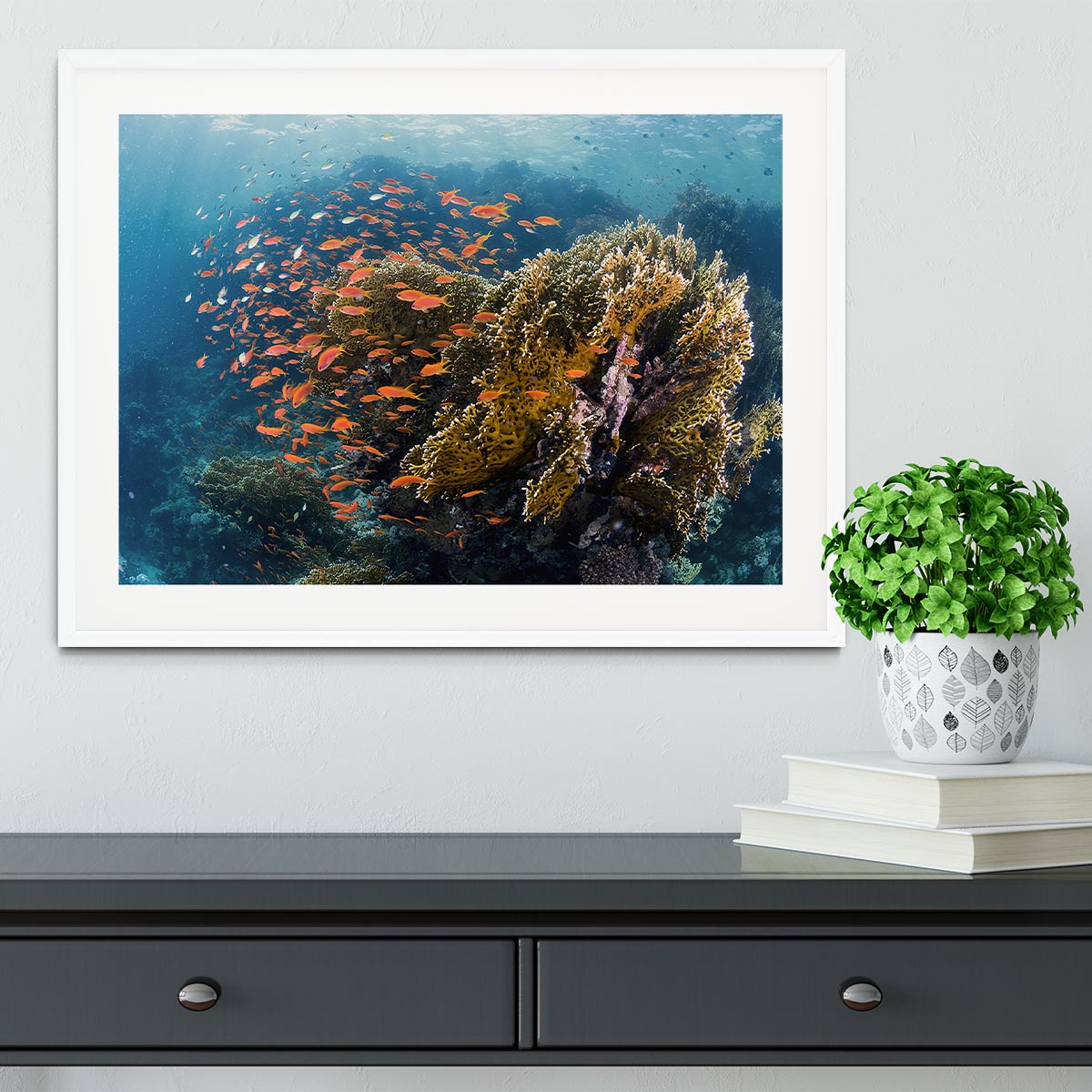 Reefscape Framed Print - Canvas Art Rocks - 5